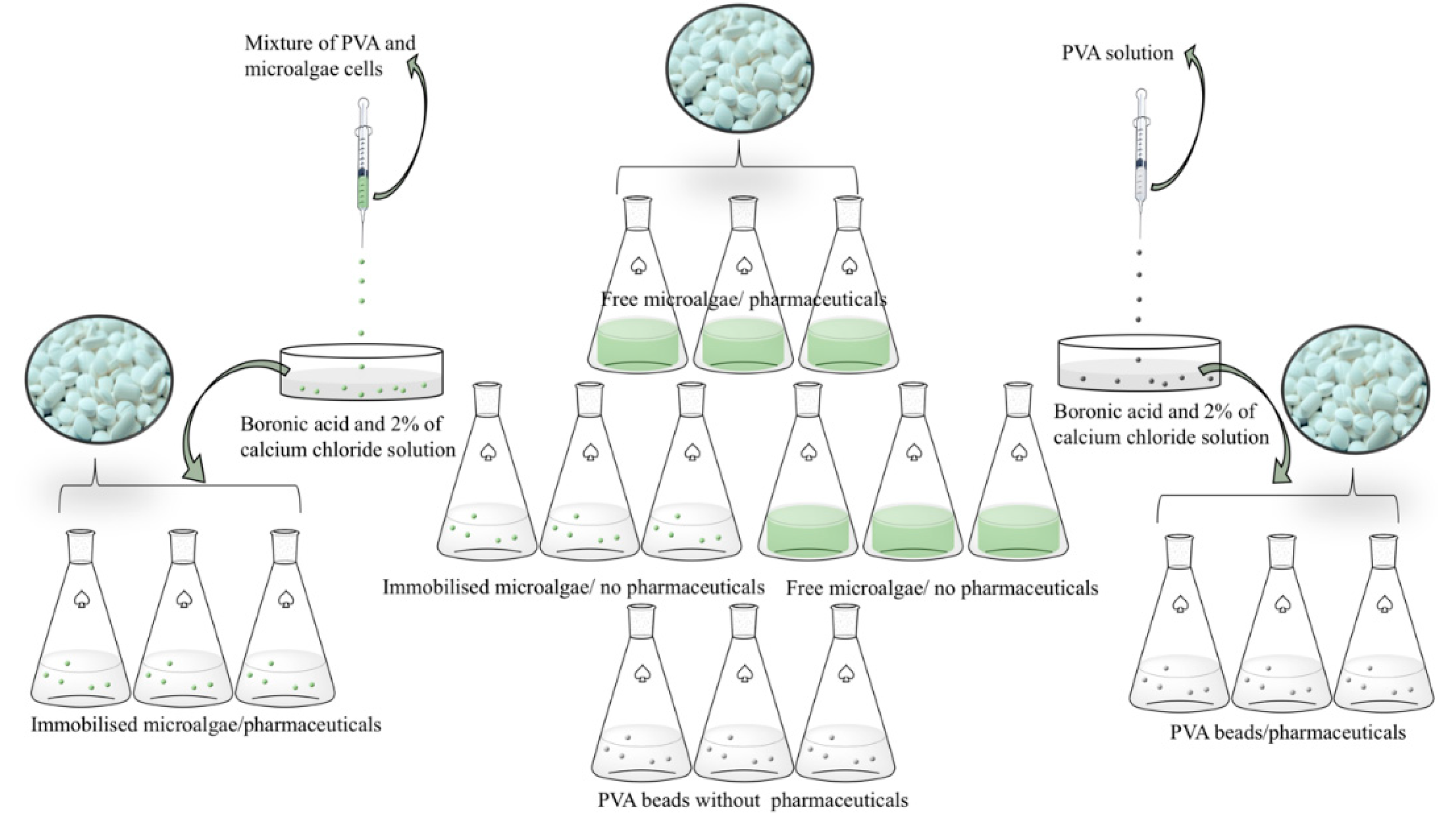 Molecules 25 03639 g001