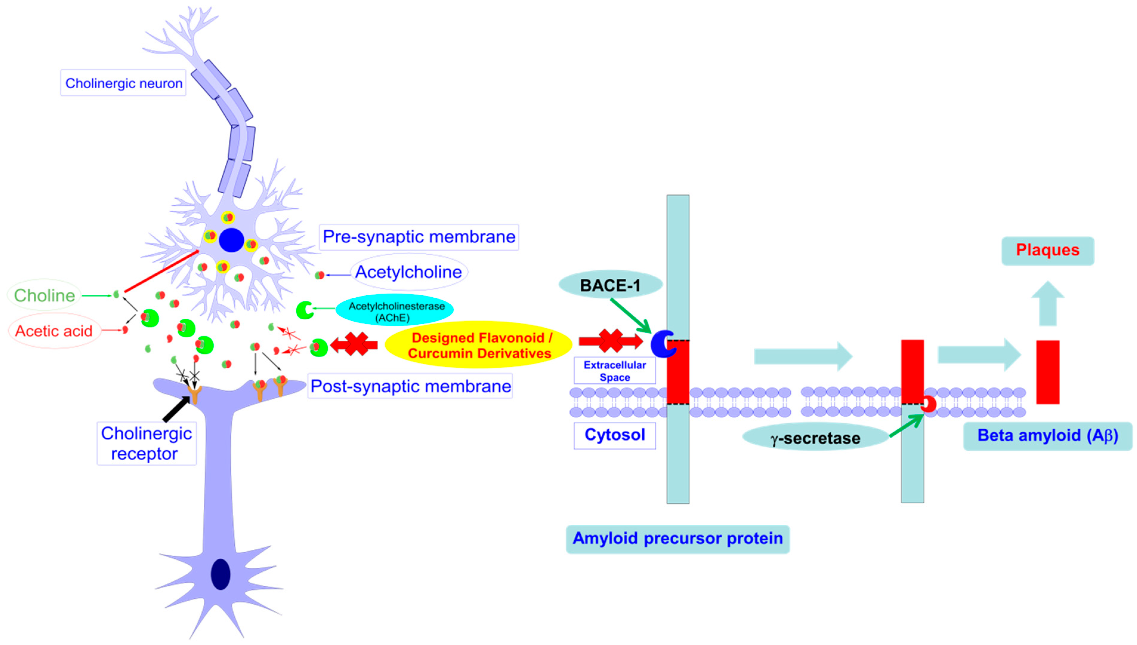 Molecules 25 03644 g001