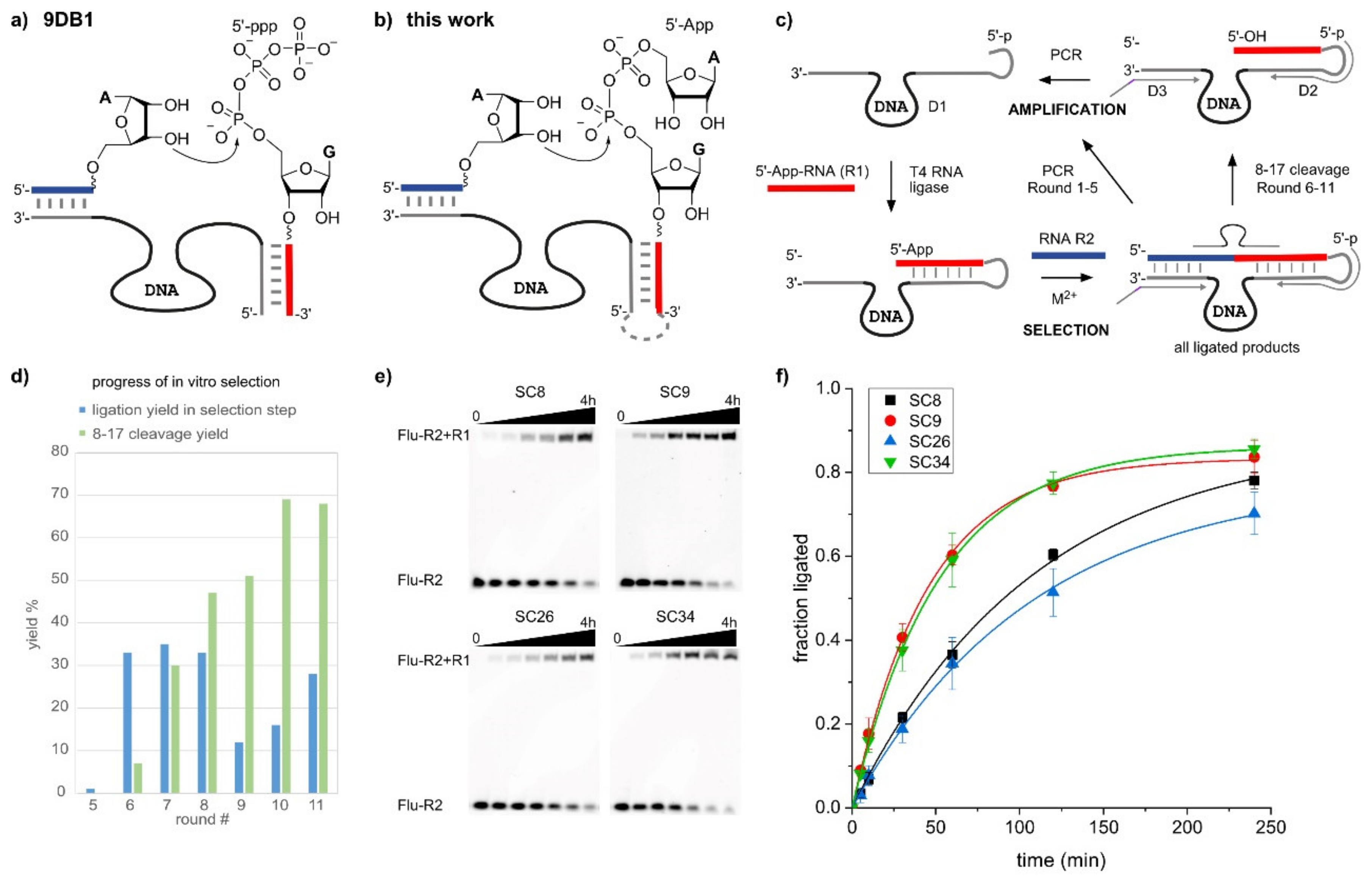 Molecules 25 03650 g001