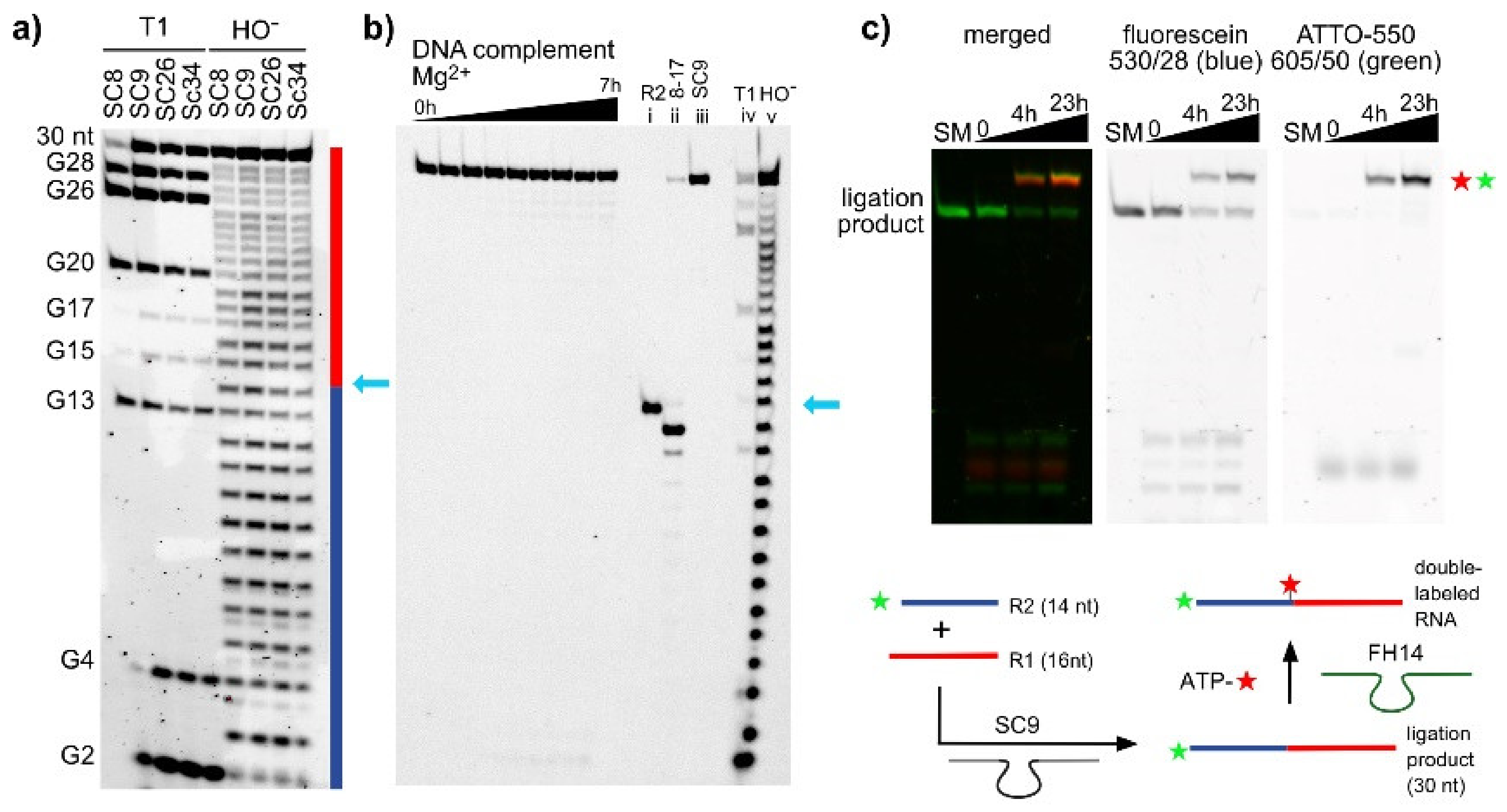 Molecules 25 03650 g002