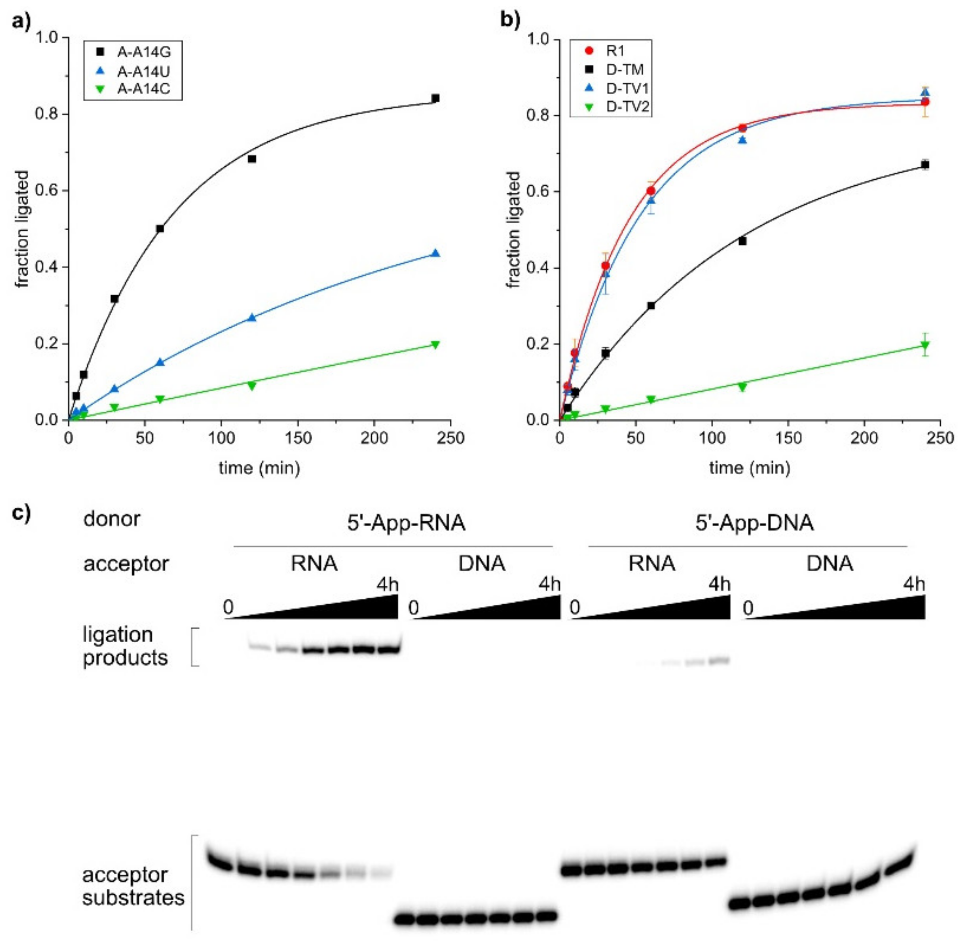 Molecules 25 03650 g004