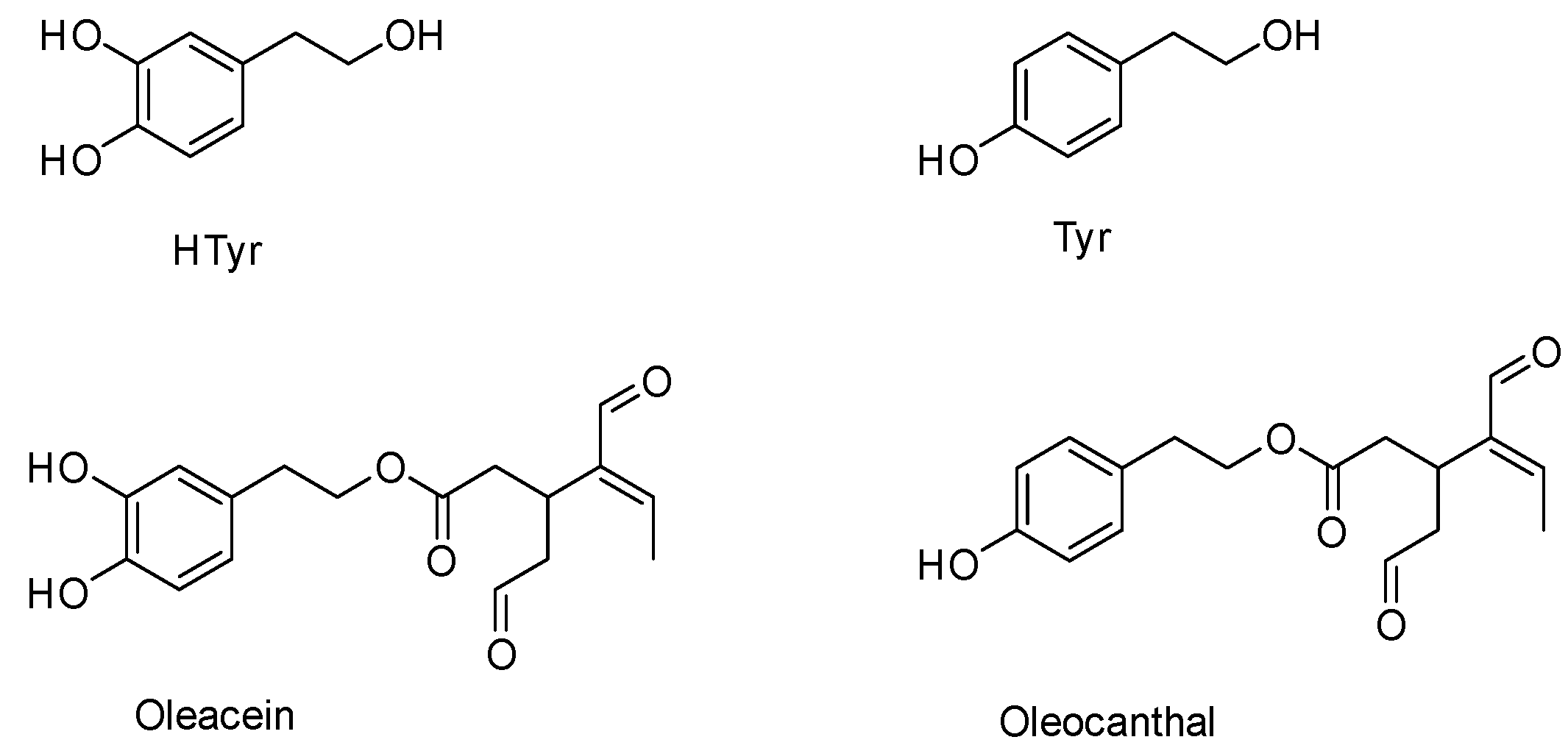 Molecules 25 03654 g001