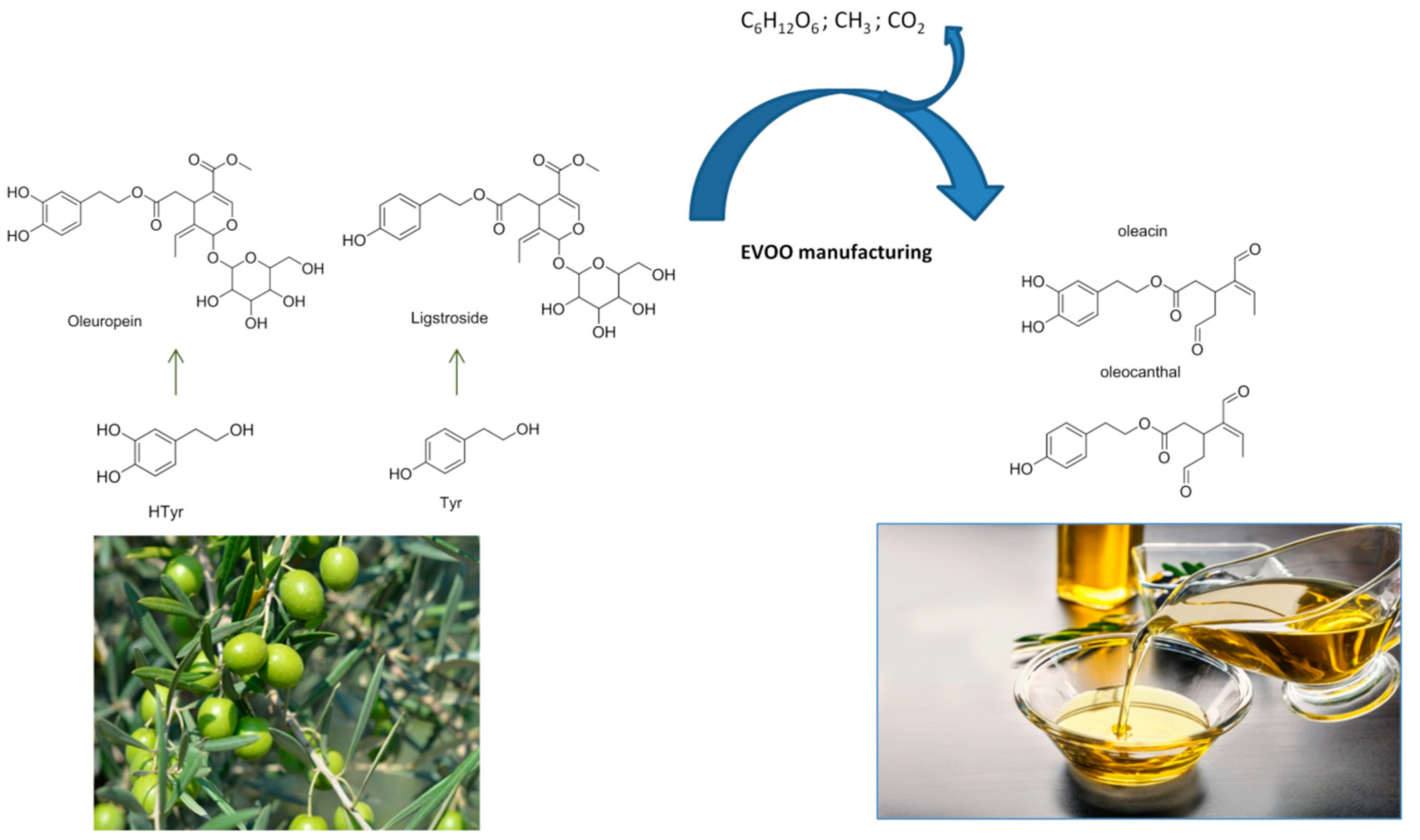 Molecules 25 03654 g002