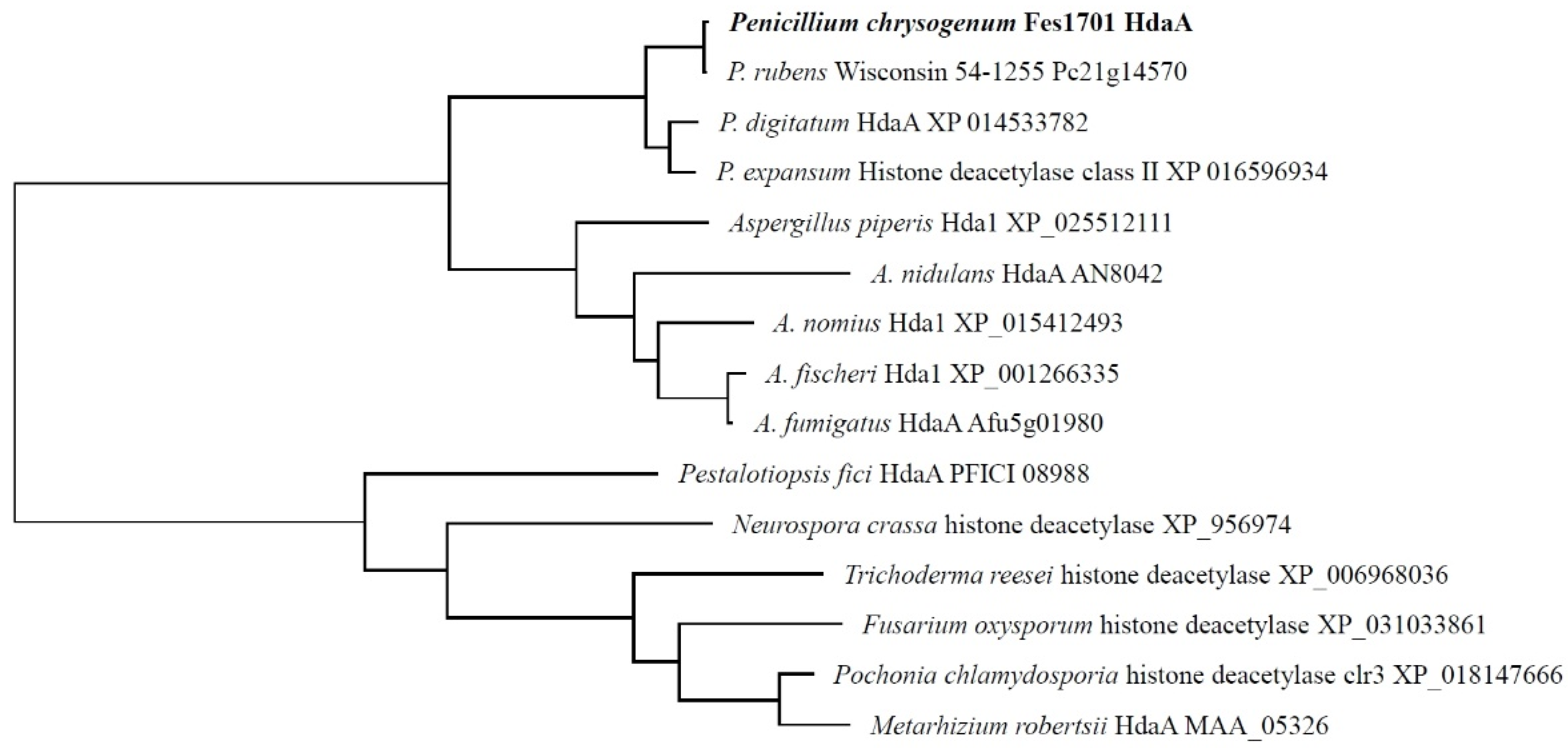 Molecules 25 03657 g001