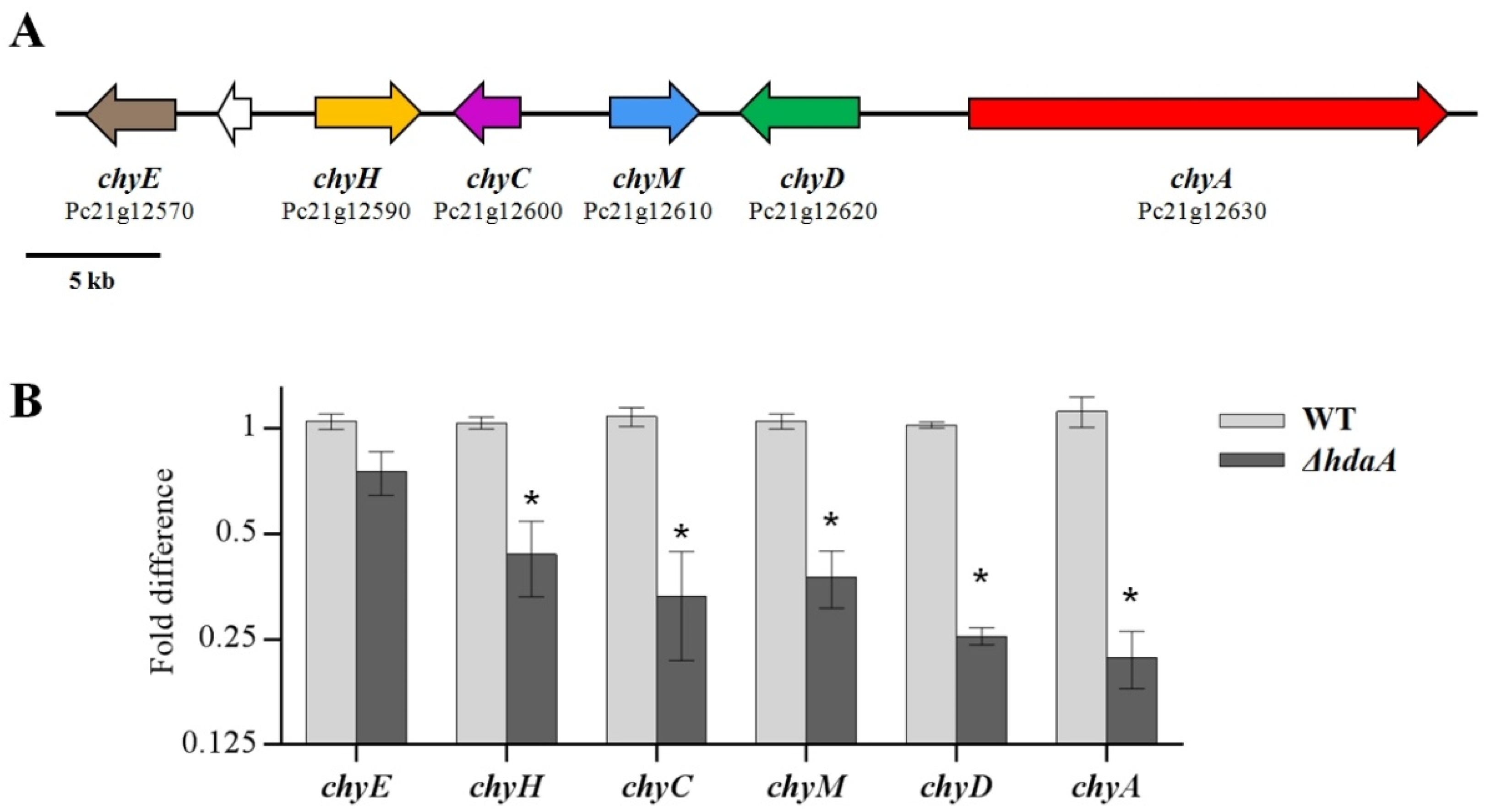 Molecules 25 03657 g004