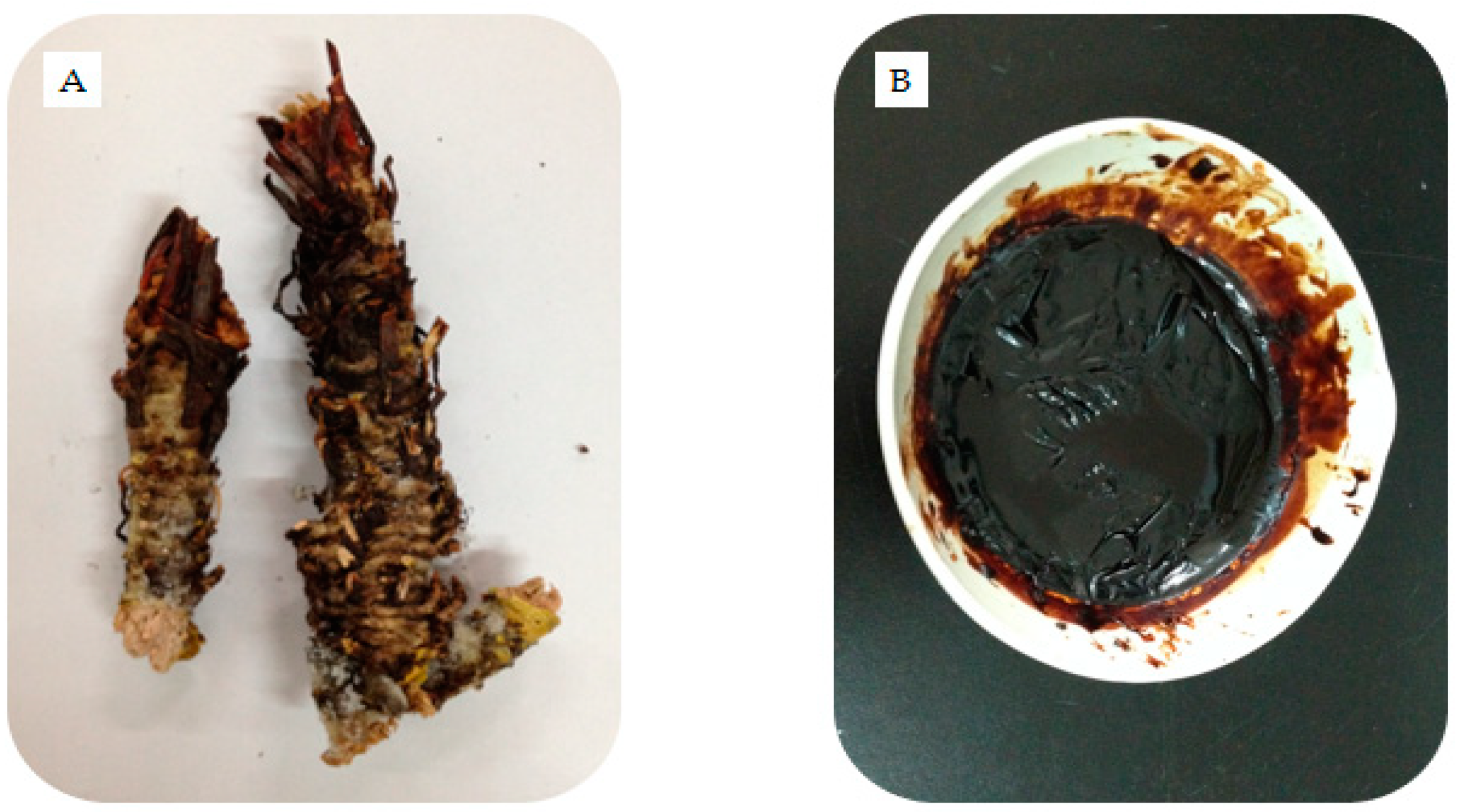 Molecules 25 03664 g001