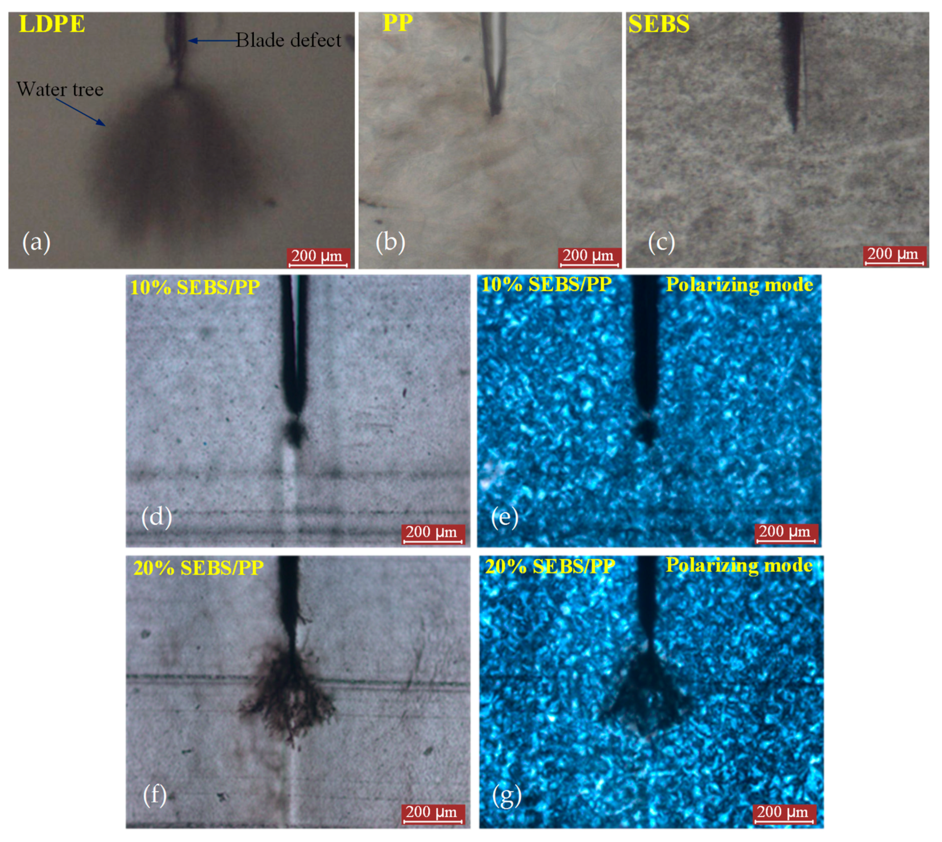 Molecules 25 03669 g001