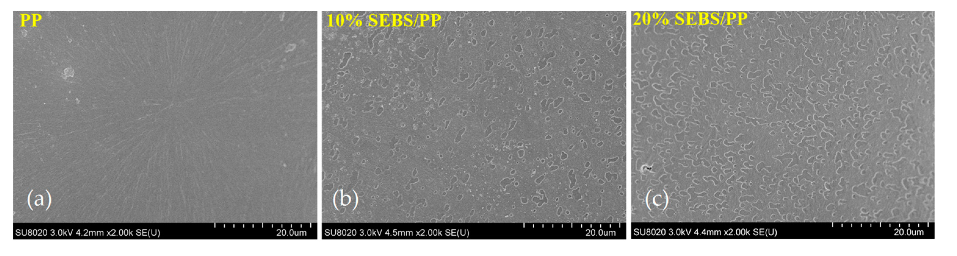 Molecules 25 03669 g002