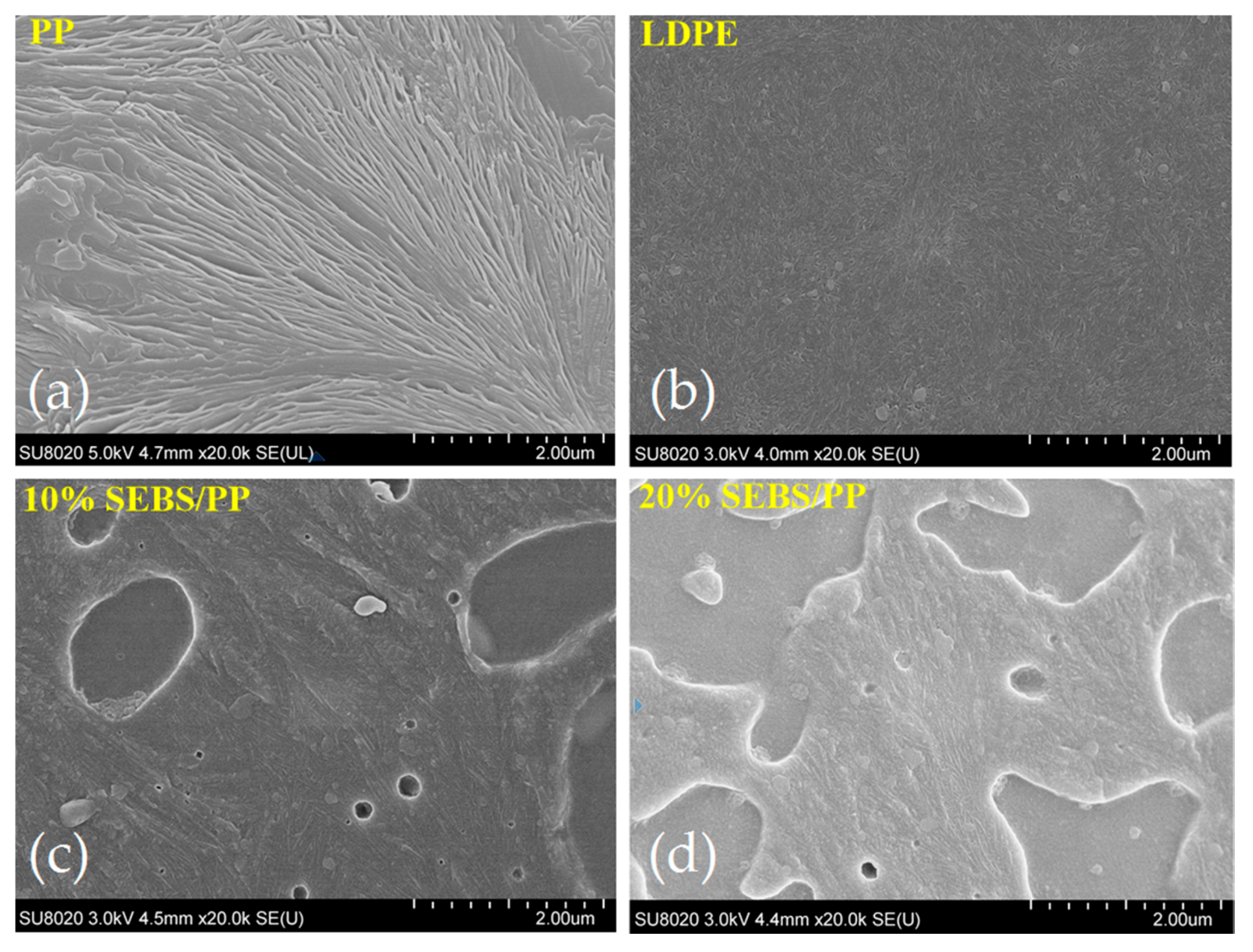 Molecules 25 03669 g003