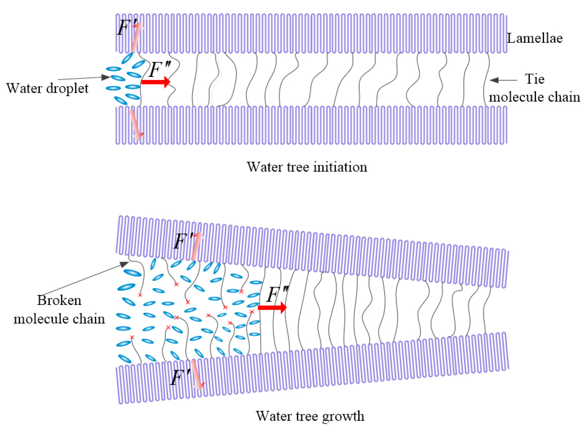 Molecules 25 03669 g008