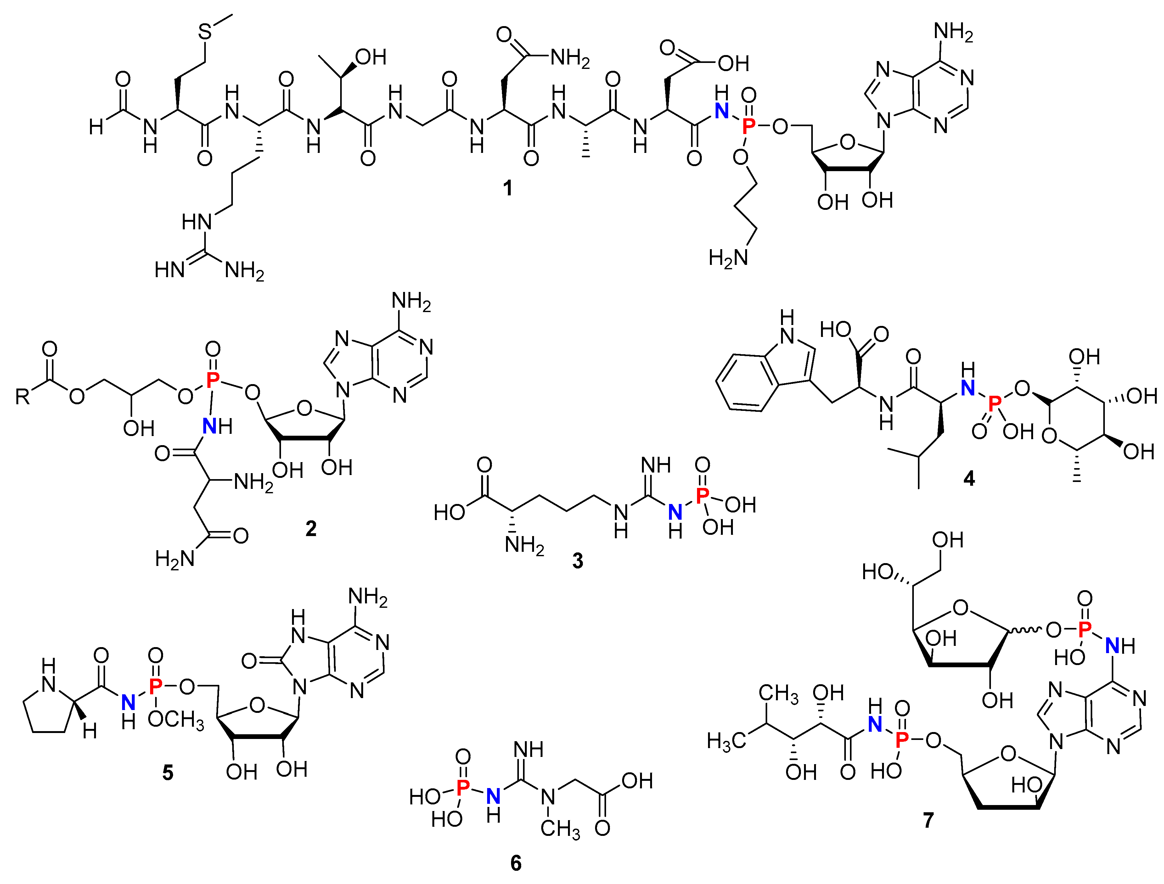 Molecules 25 03684 g002