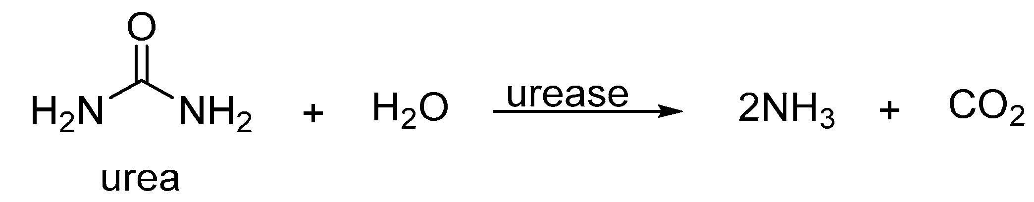 Molecules 25 03684 sch001