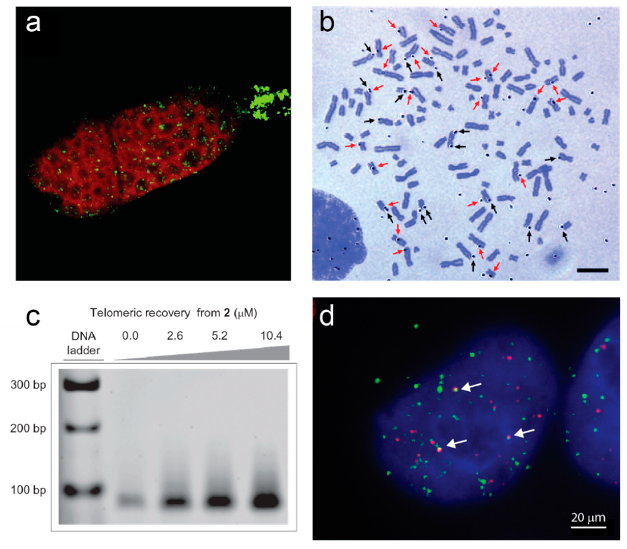 Molecules 25 03686 g001 Molecules 25 03686 g001