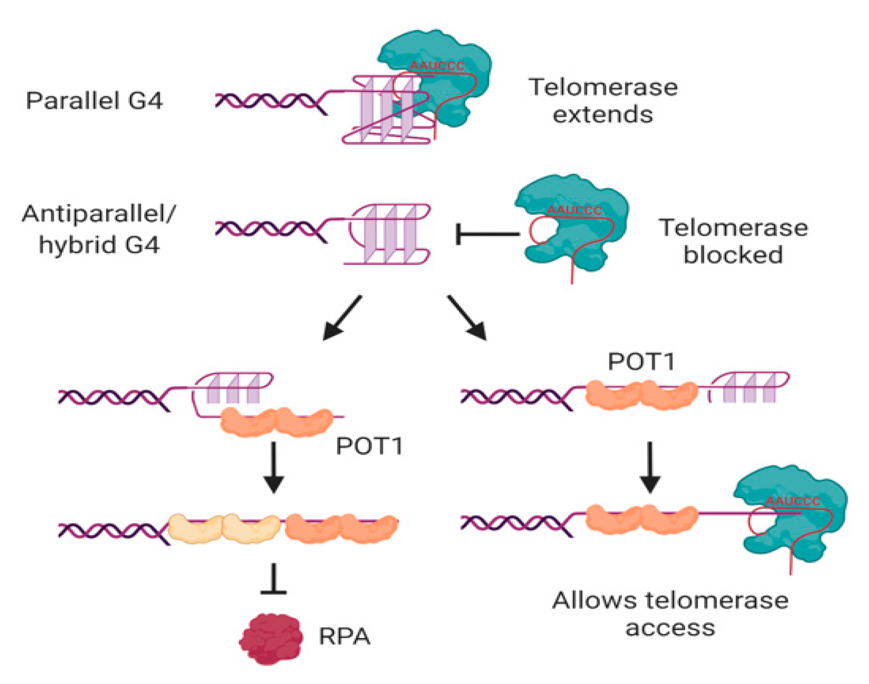 Molecules 25 03686 g005 Molecules 25 03686 g005