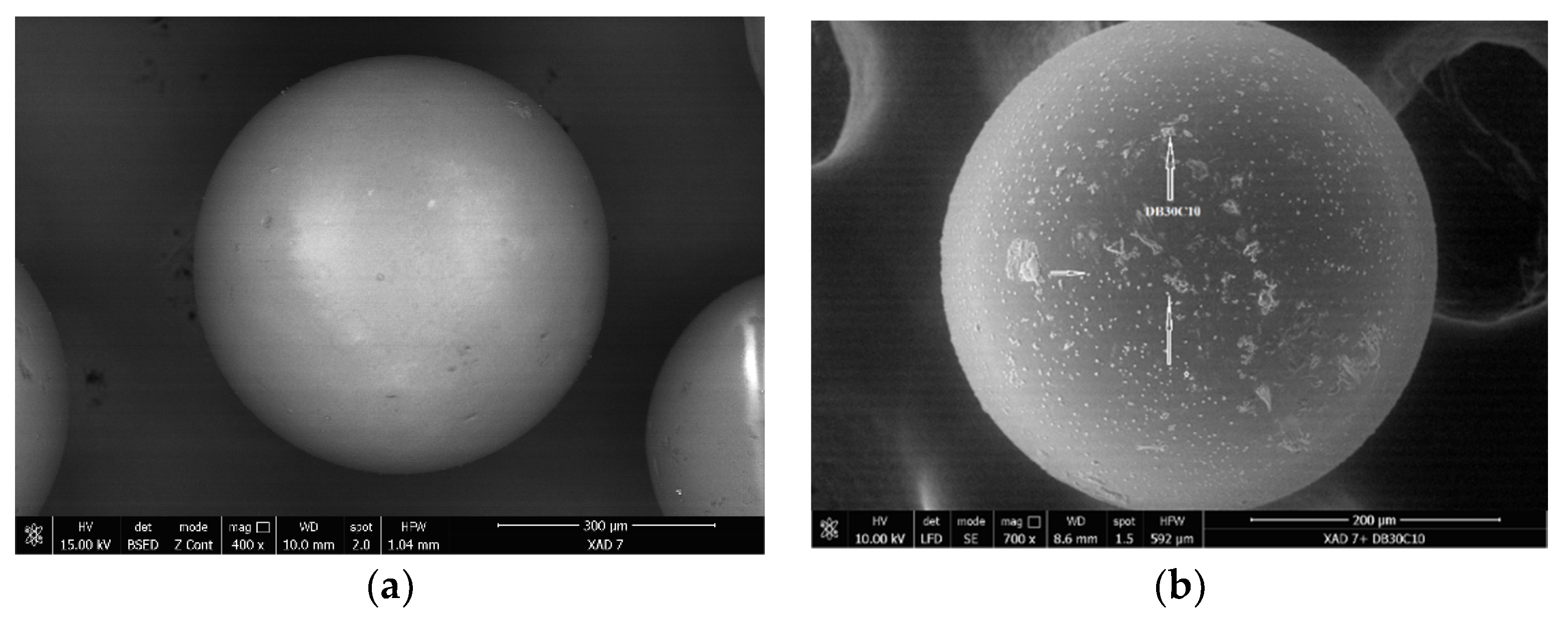 Molecules 25 03692 g003