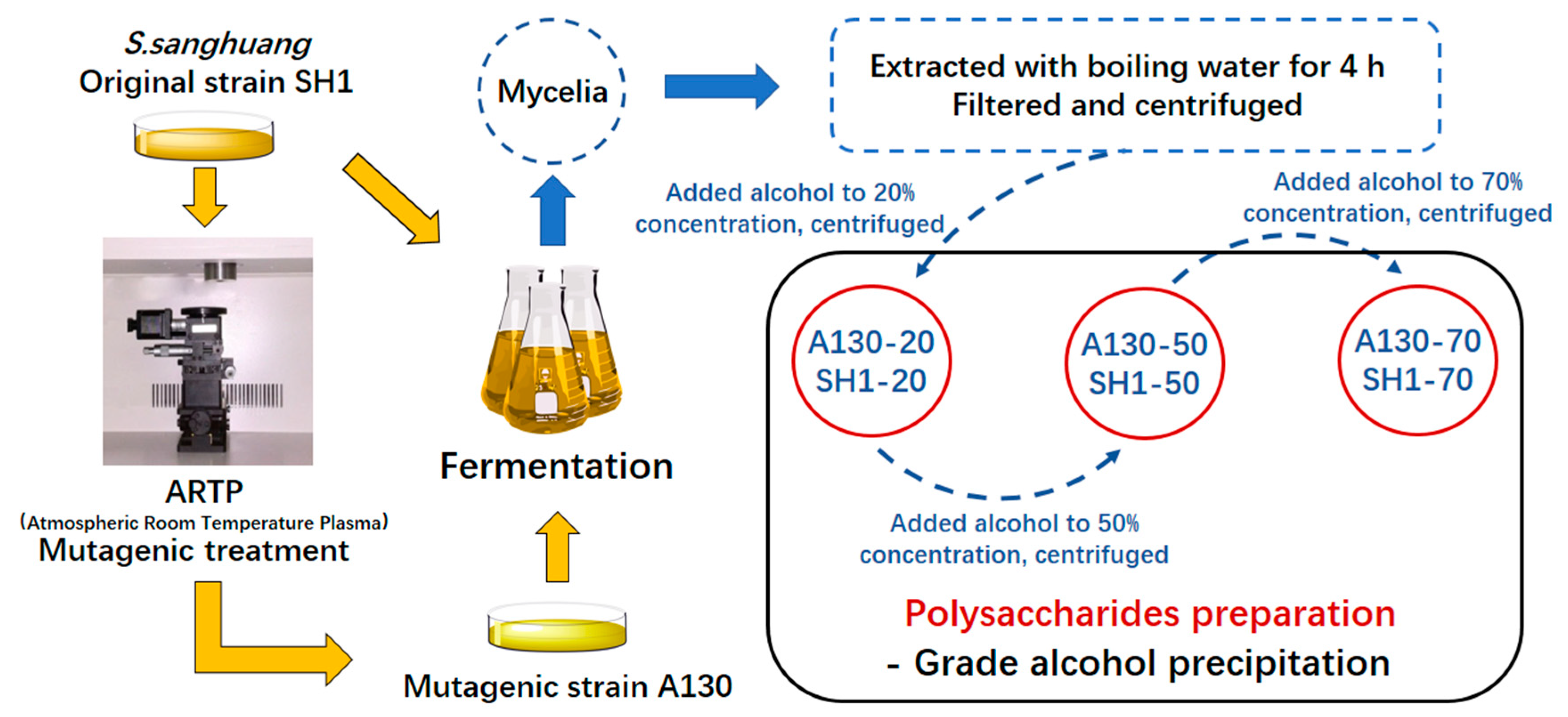 Molecules 25 03693 g006