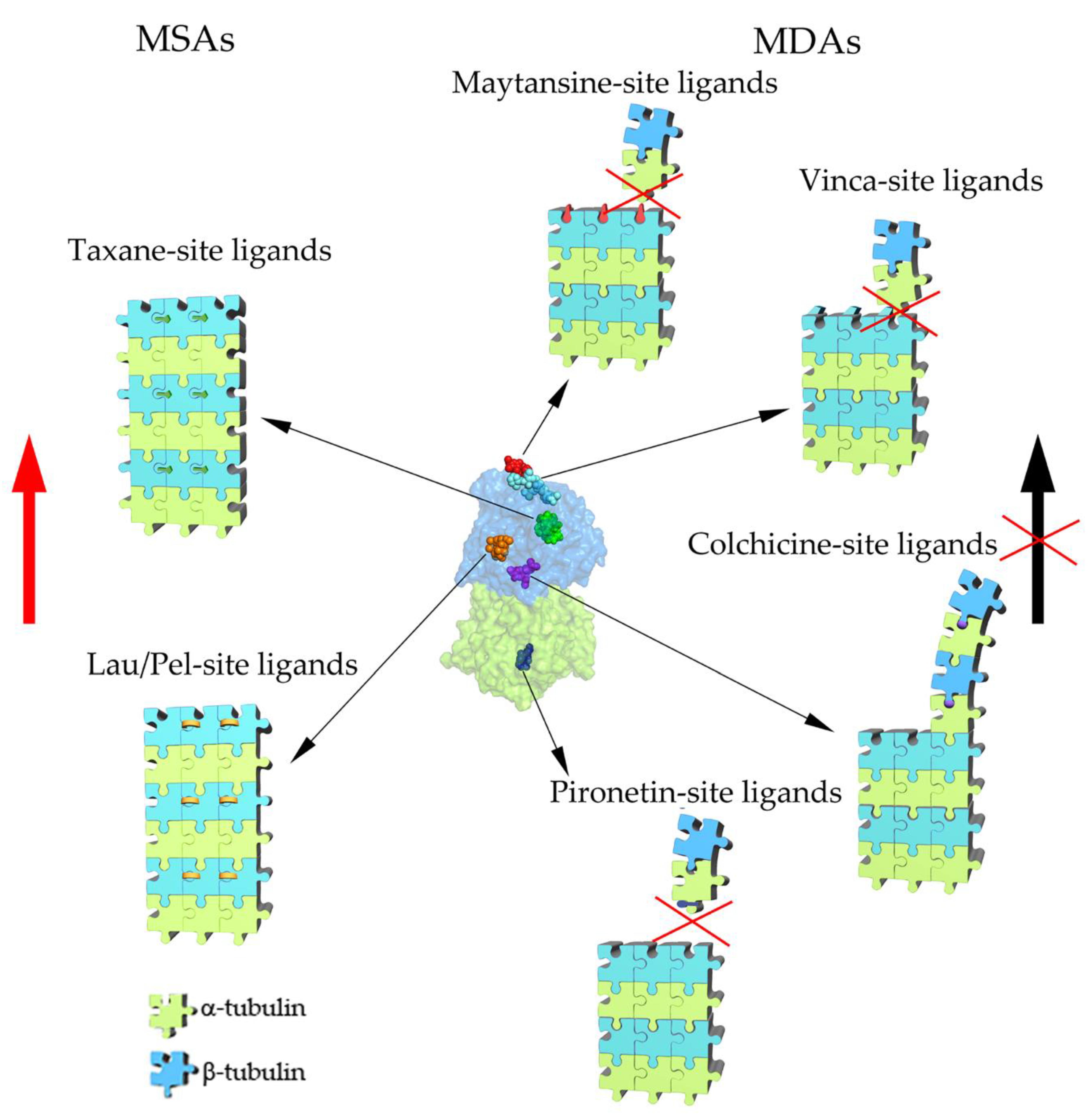 Molecules 25 03705 g002