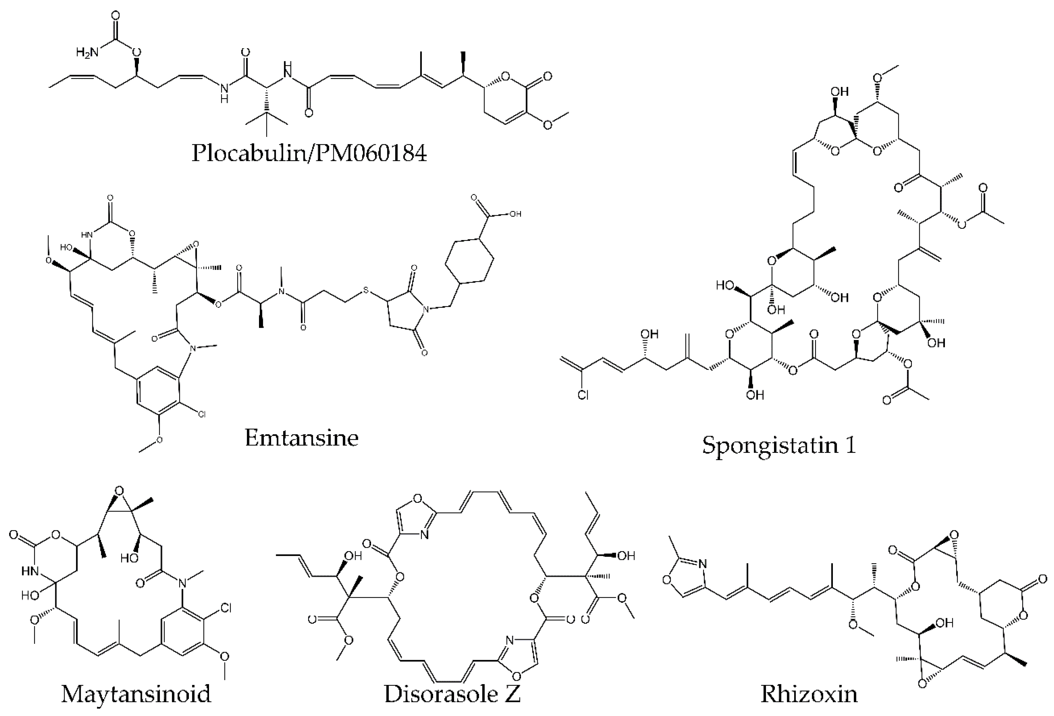 Molecules 25 03705 g006