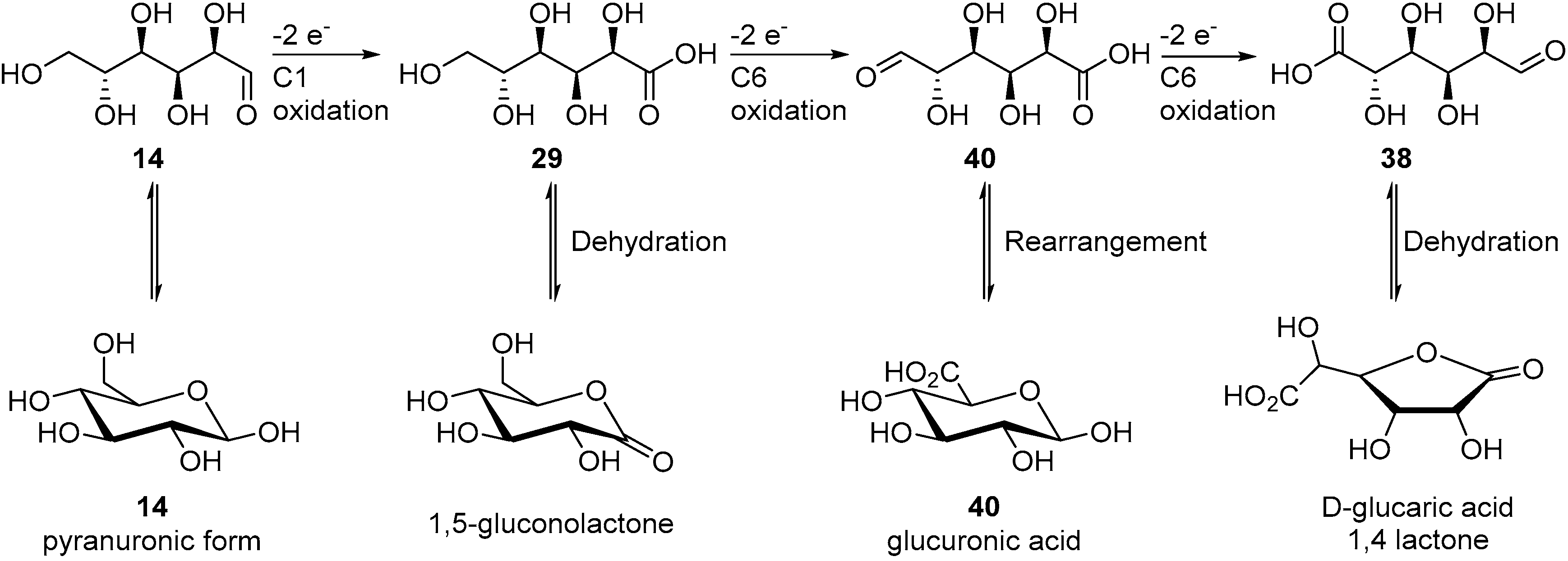 Molecules 25 03712 sch020