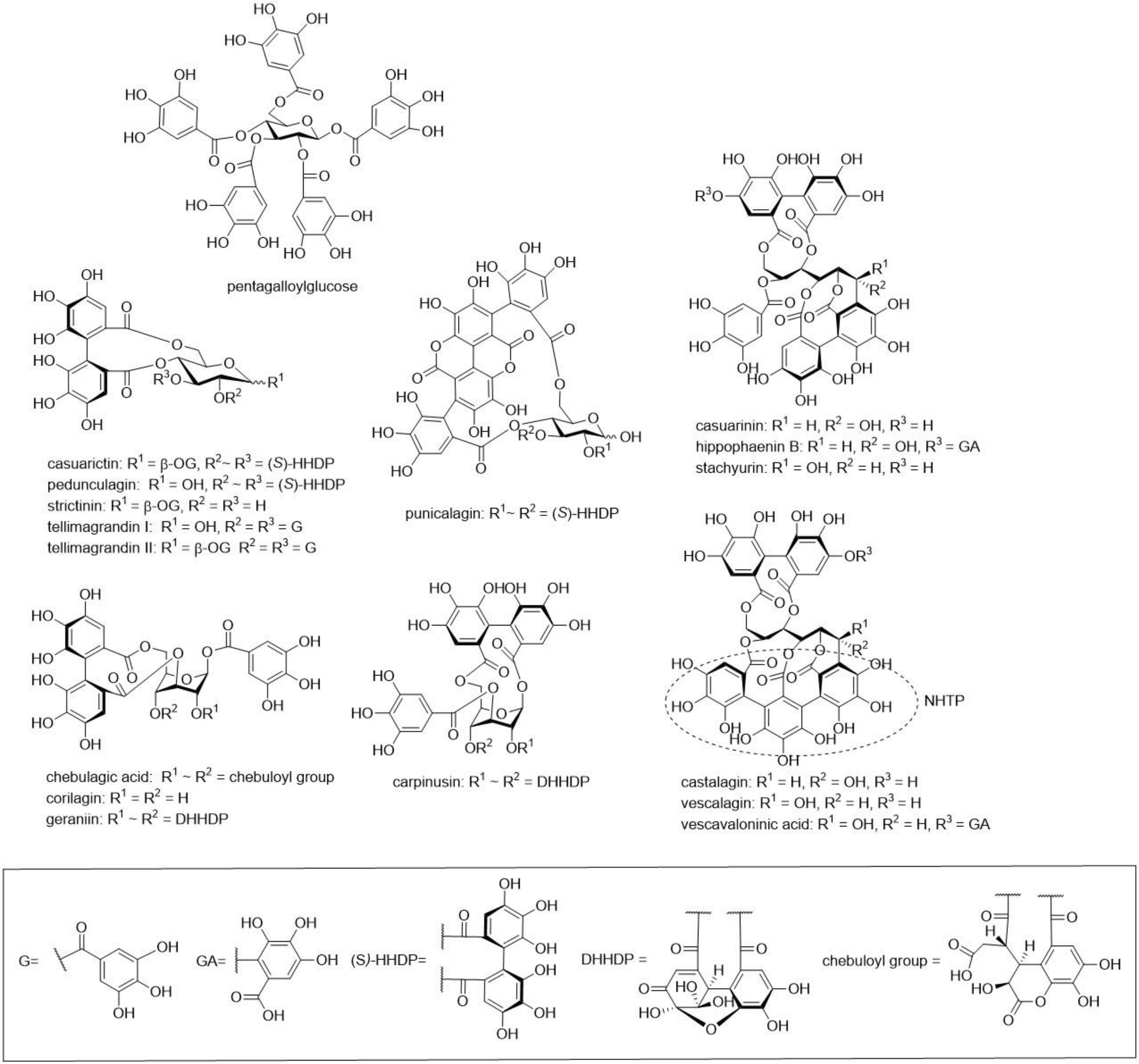 Molecules 25 03714 g001