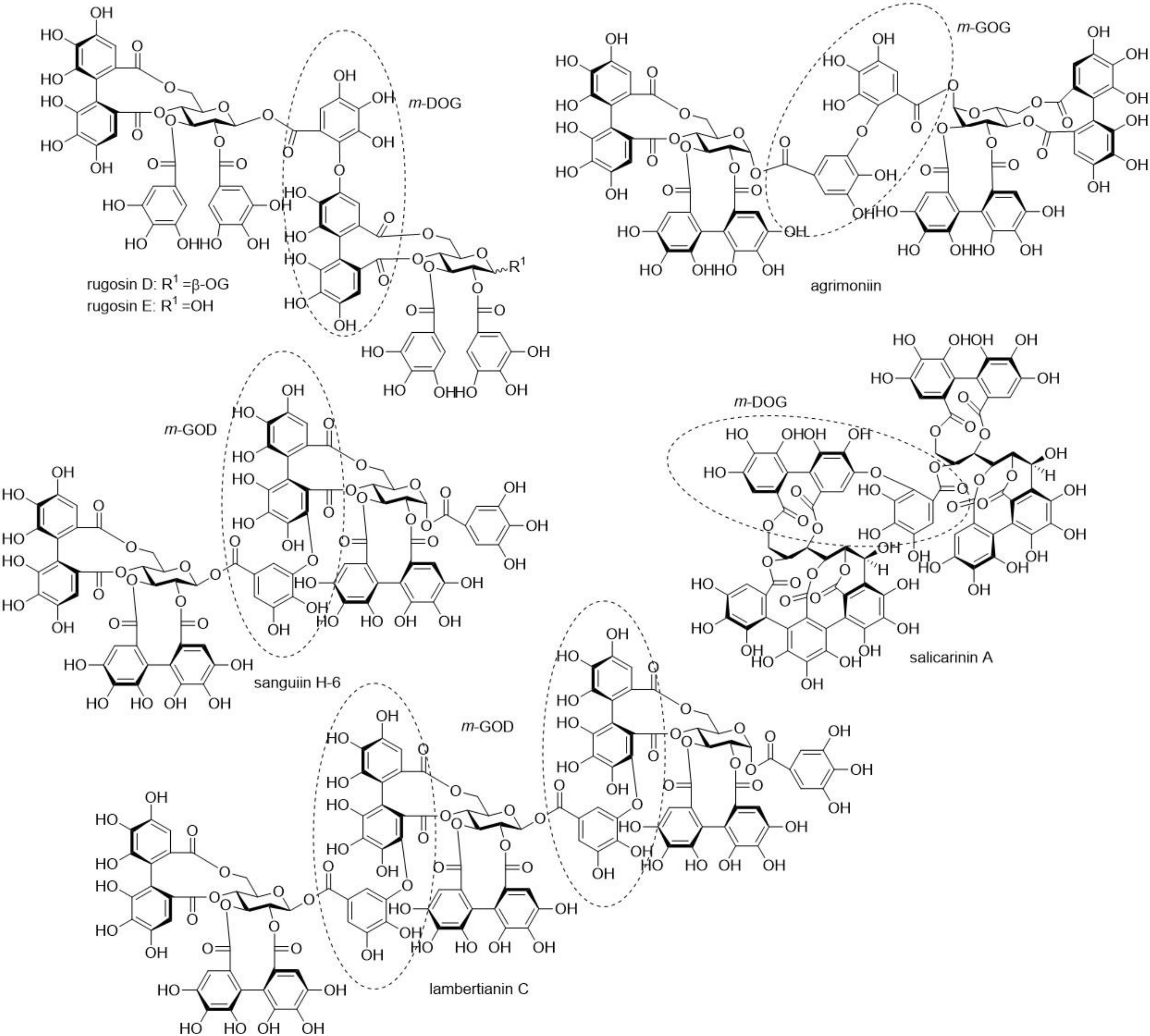 Molecules 25 03714 g002