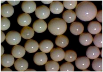 Molecules 25 03718 i002 Molecules 25 03718 i002