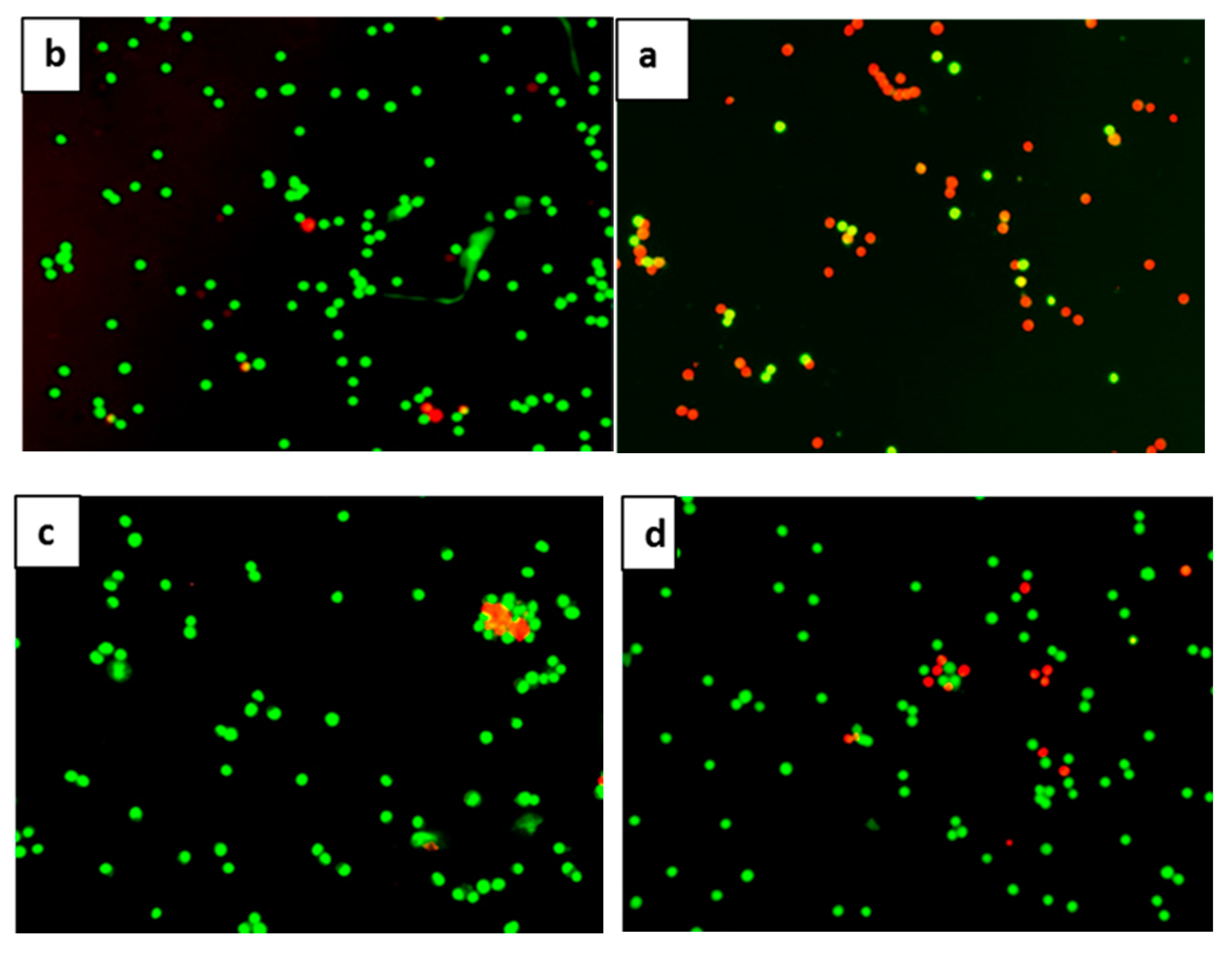 Molecules 25 03724 g006a Molecules 25 03724 g006a