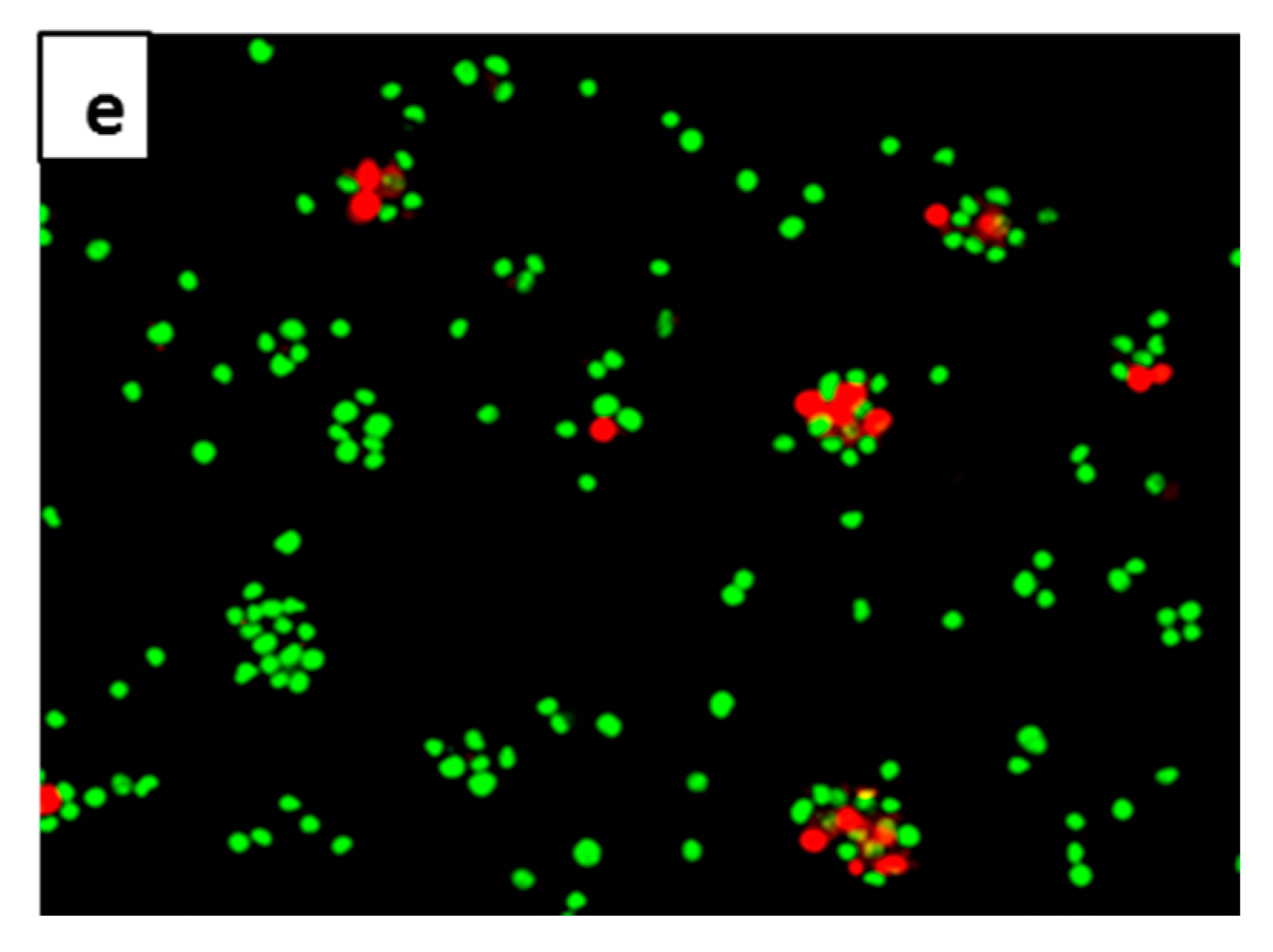 Molecules 25 03724 g006b Molecules 25 03724 g006b