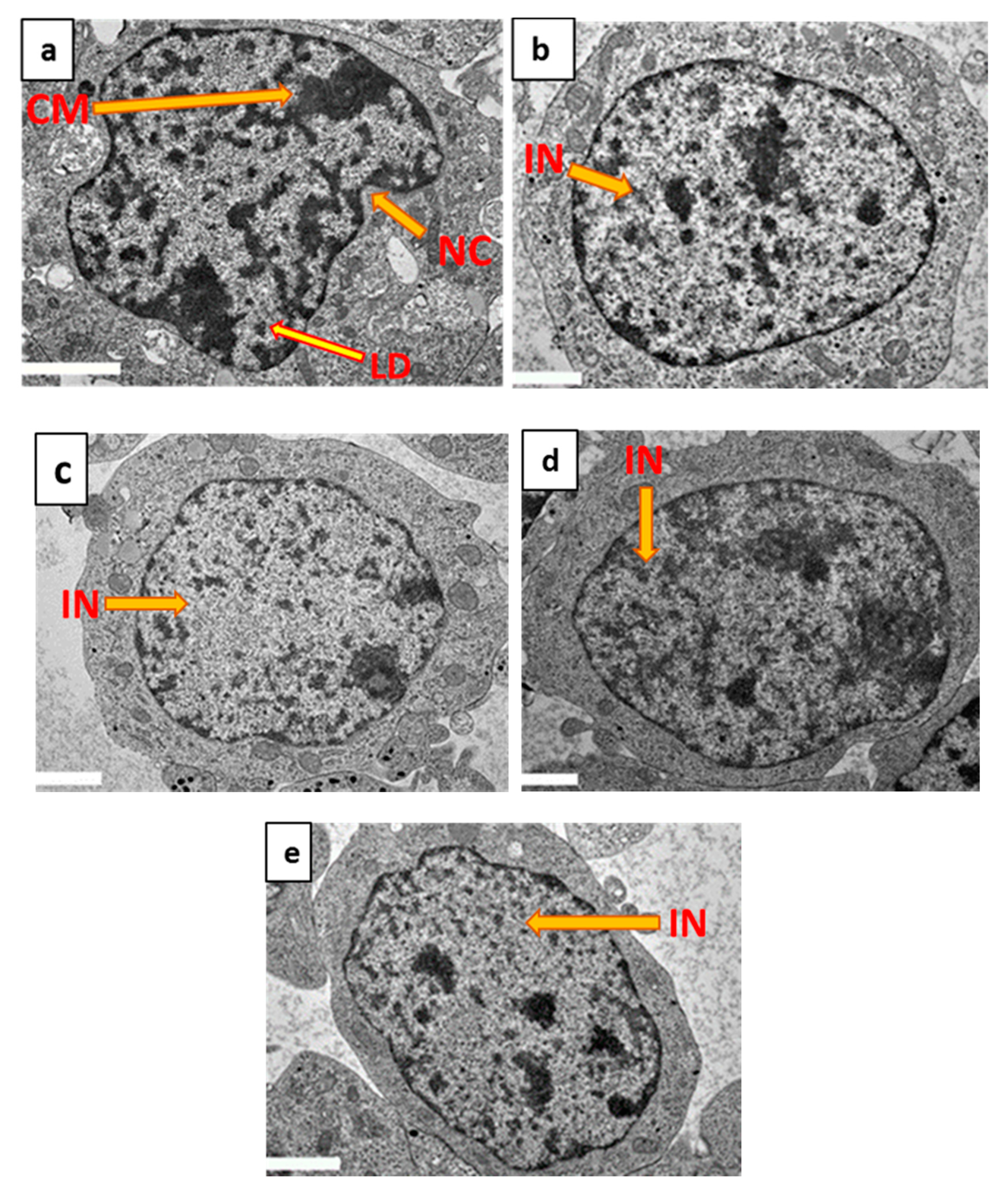 Molecules 25 03724 g009 Molecules 25 03724 g009