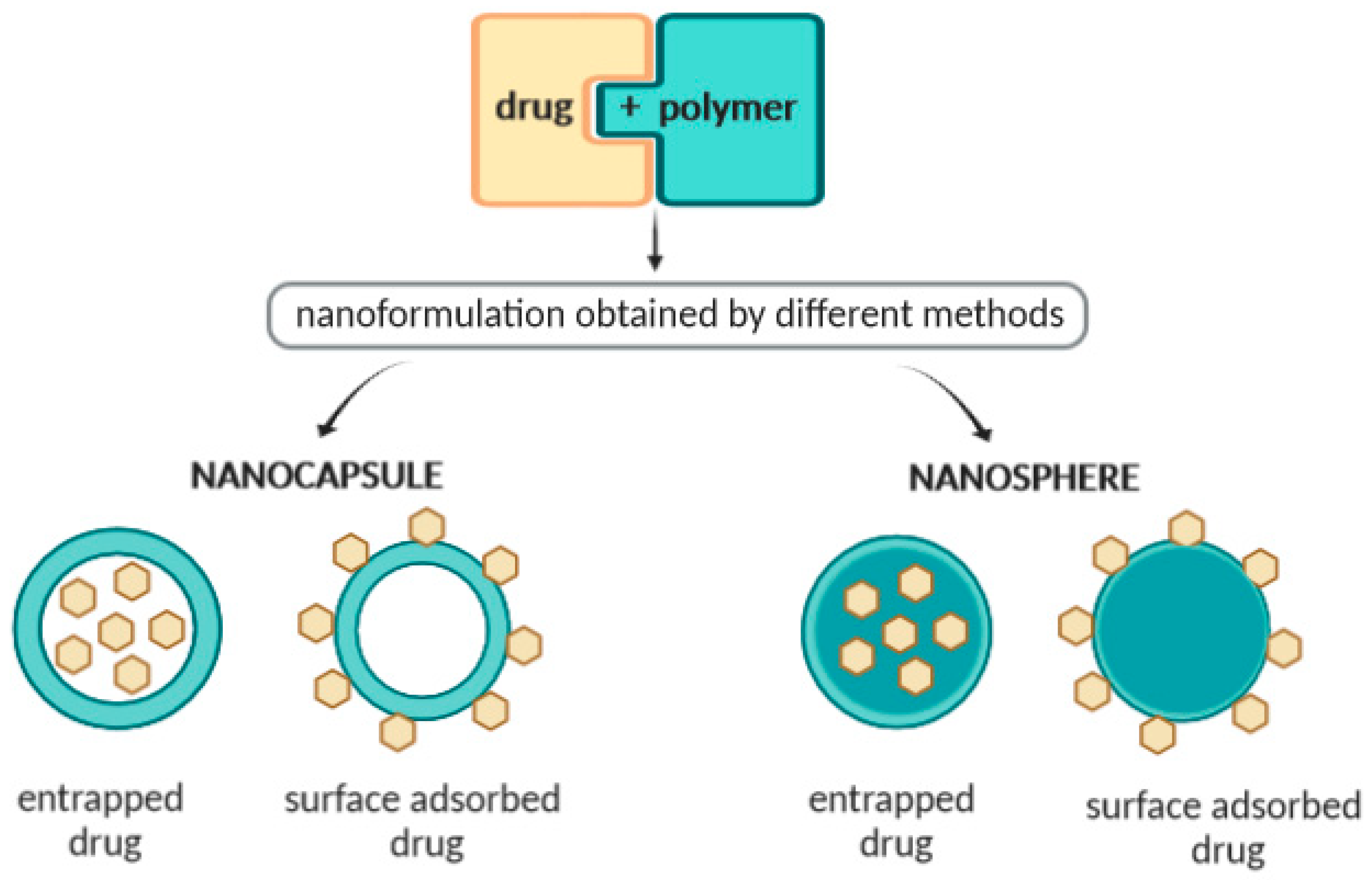 Molecules 25 03731 g006 Molecules 25 03731 g006
