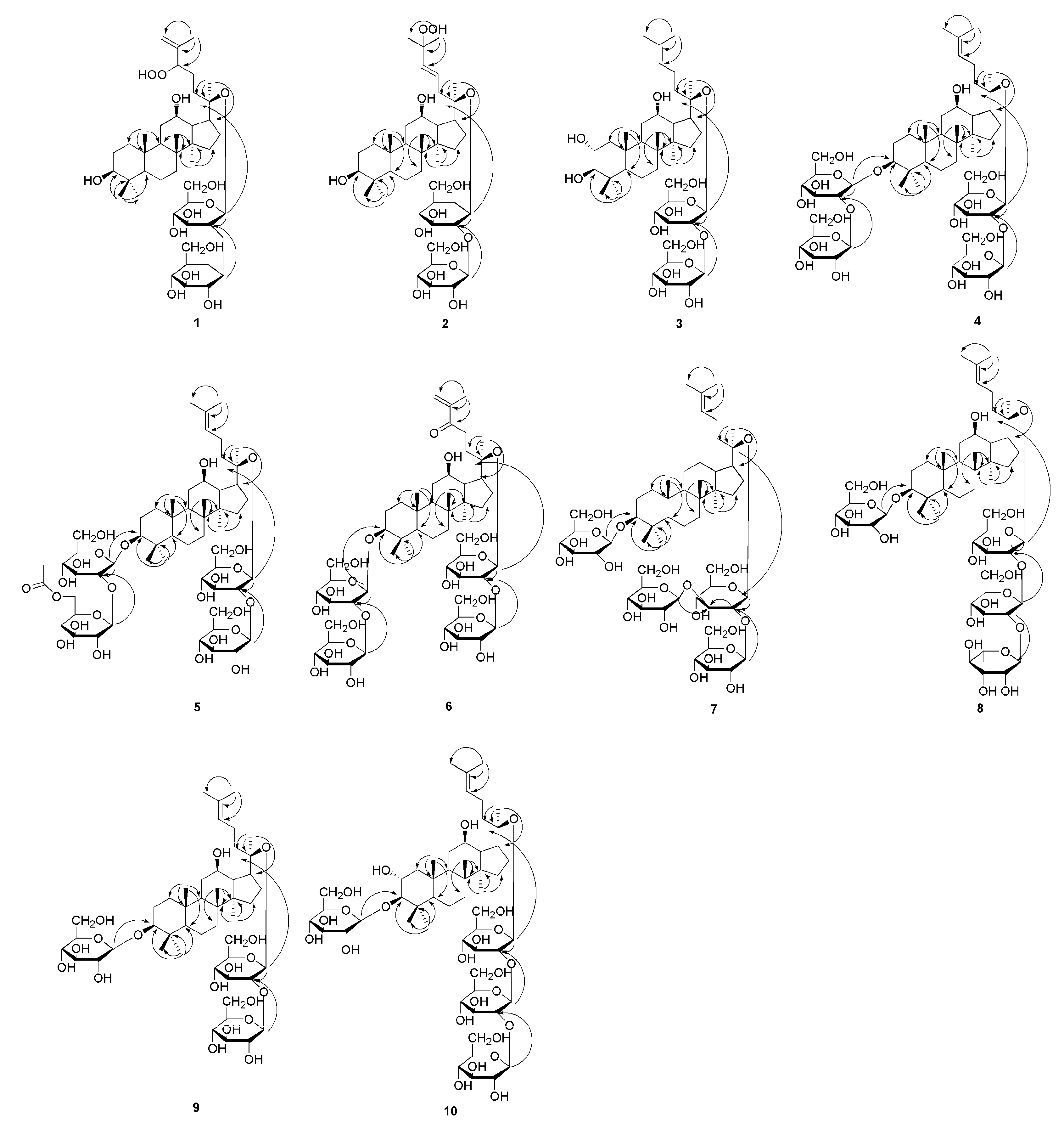 Molecules 25 03737 g002