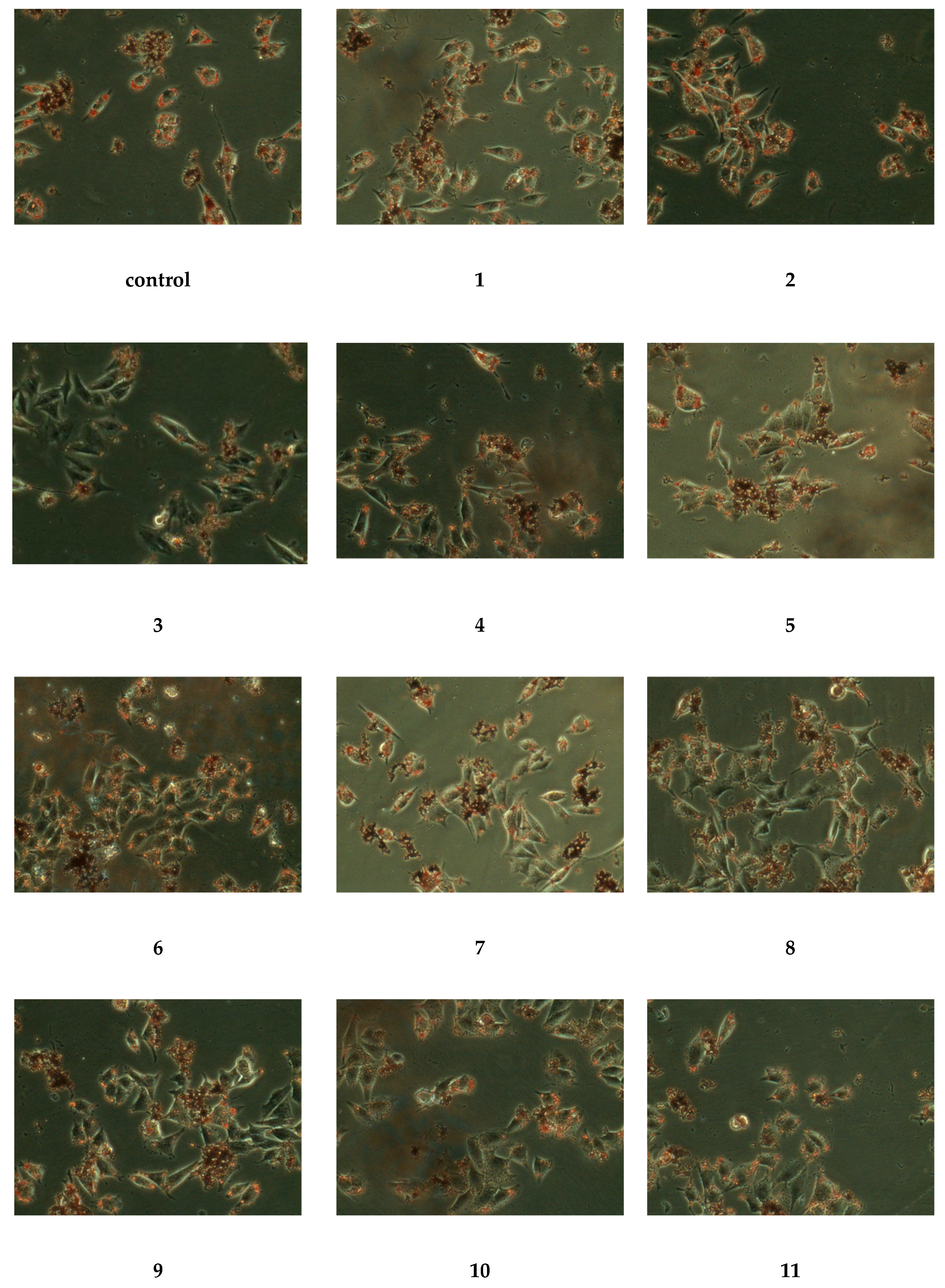 Molecules 25 03737 g004