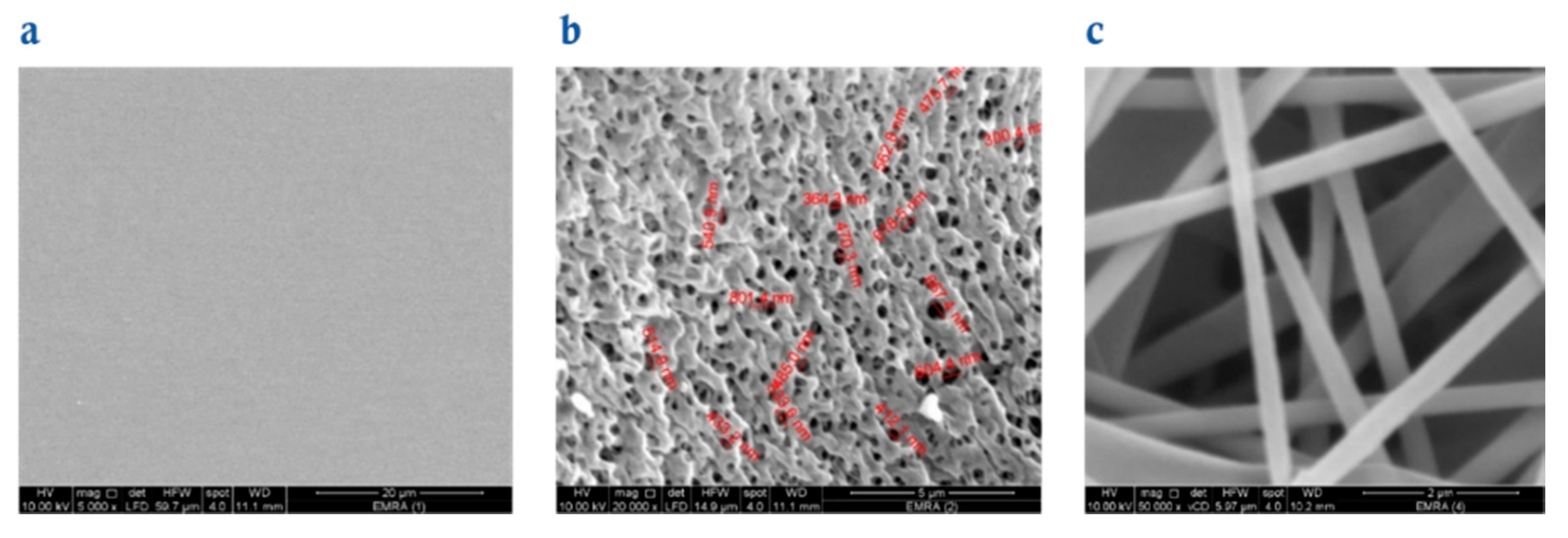 Molecules 25 03751 g001