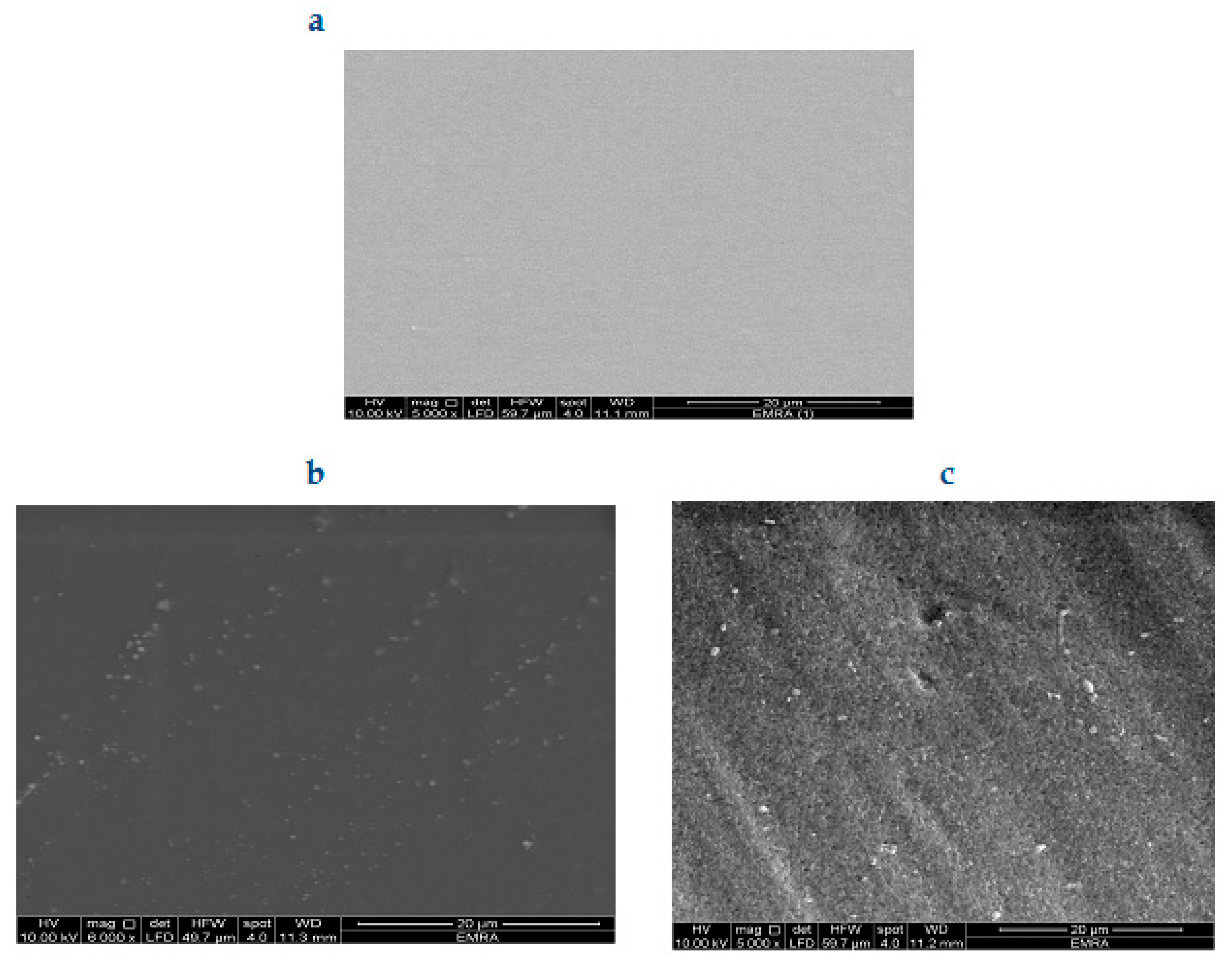 Molecules 25 03751 g003