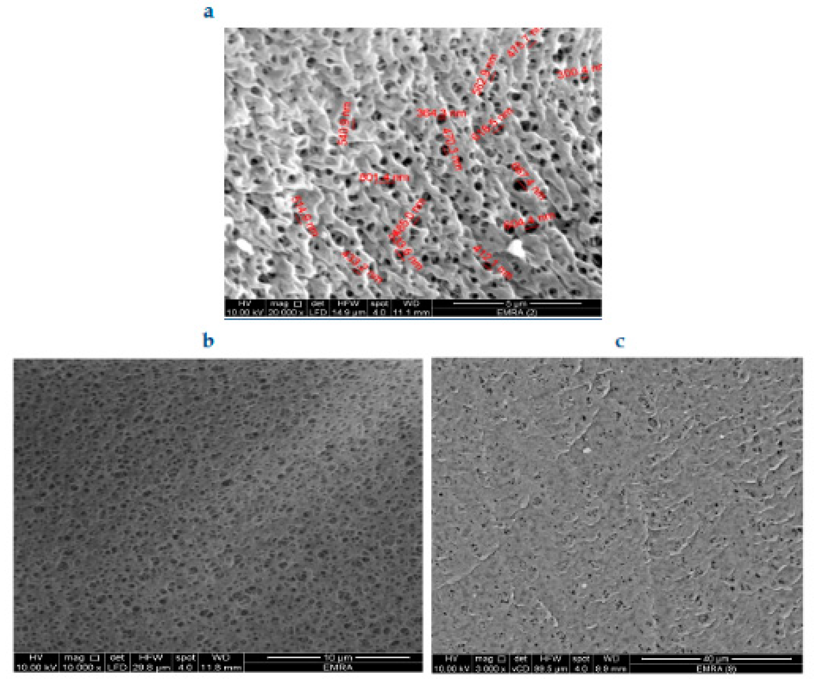 Molecules 25 03751 g004
