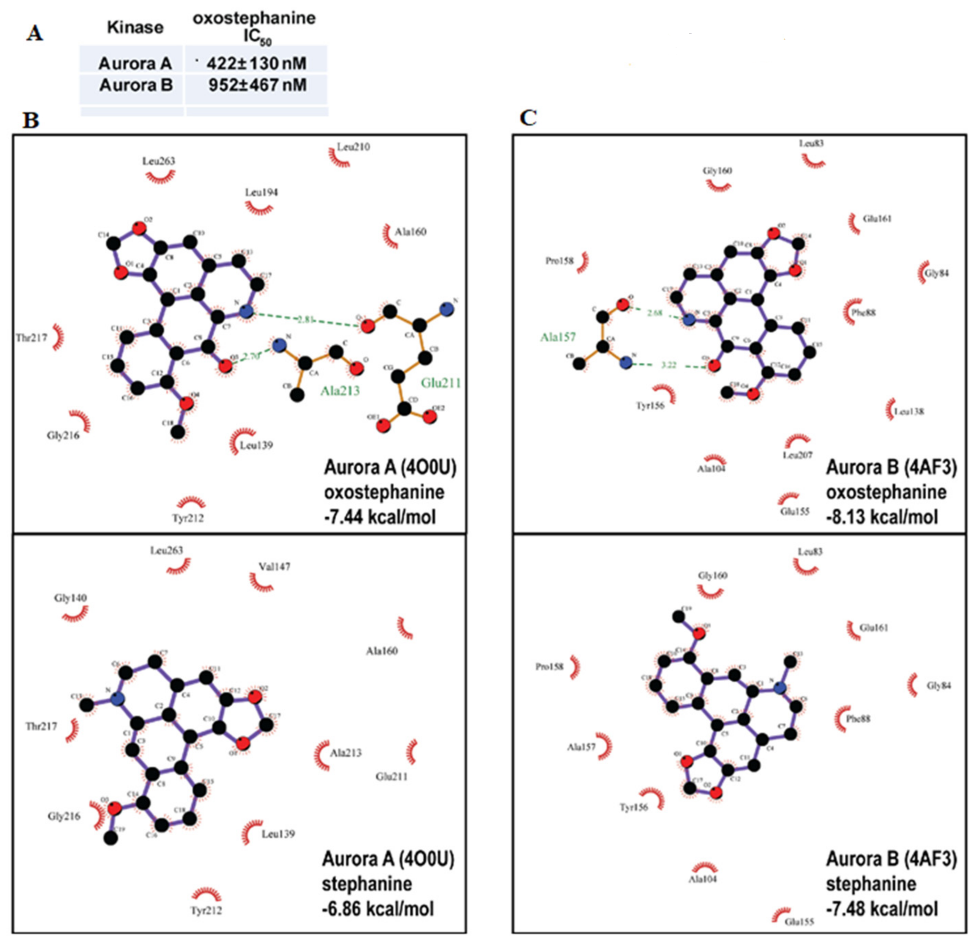 Molecules 25 03755 g005