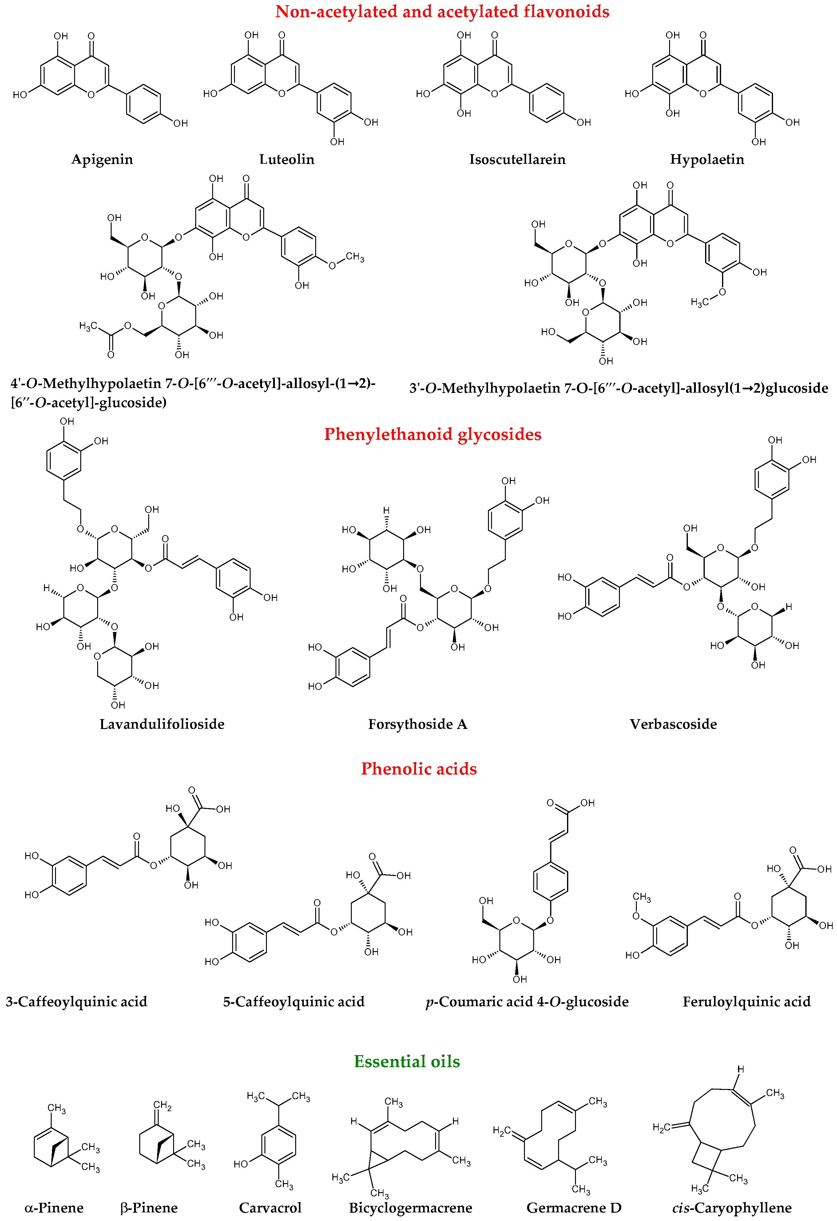 Molecules 25 03763 g001