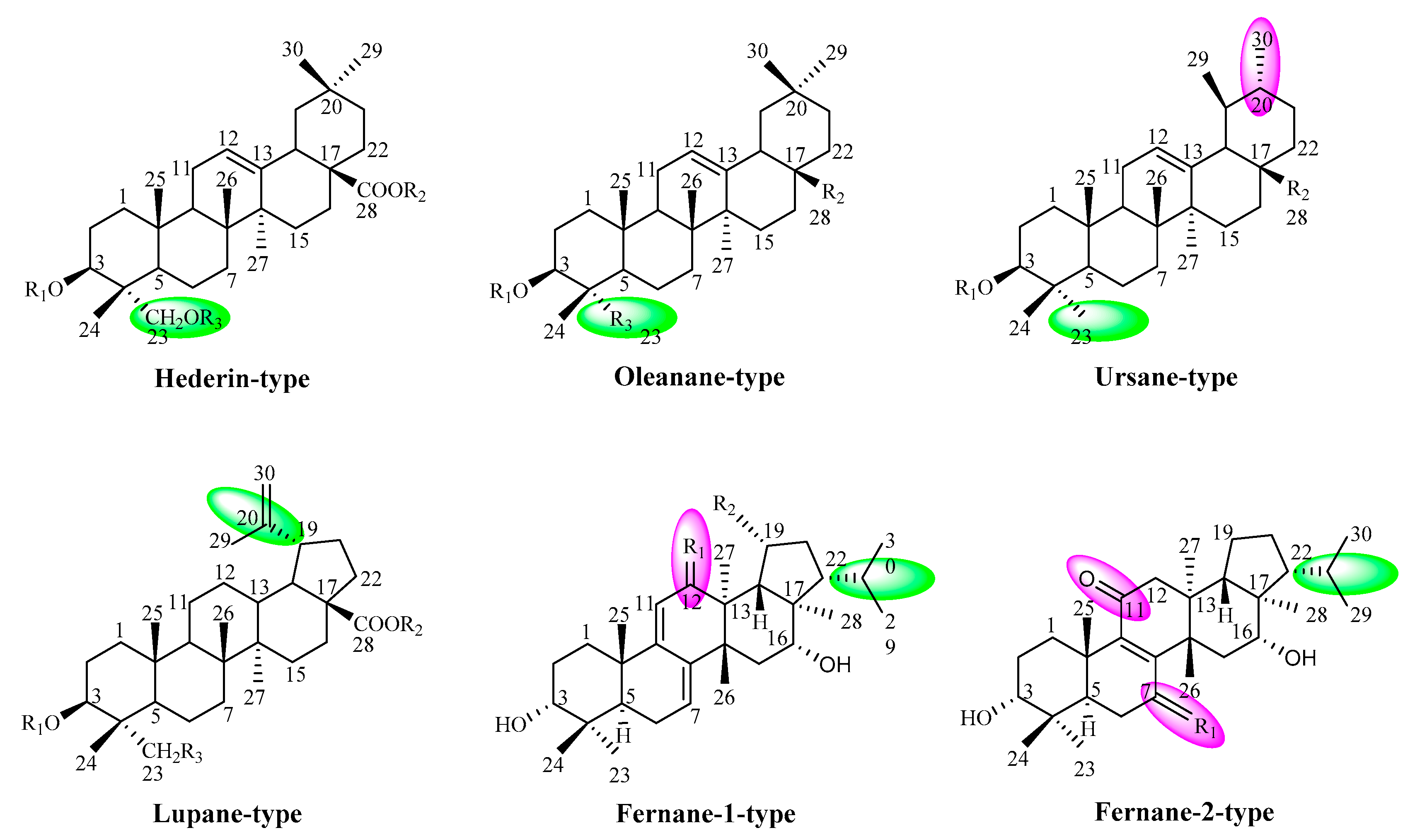 Molecules 25 03773 g001