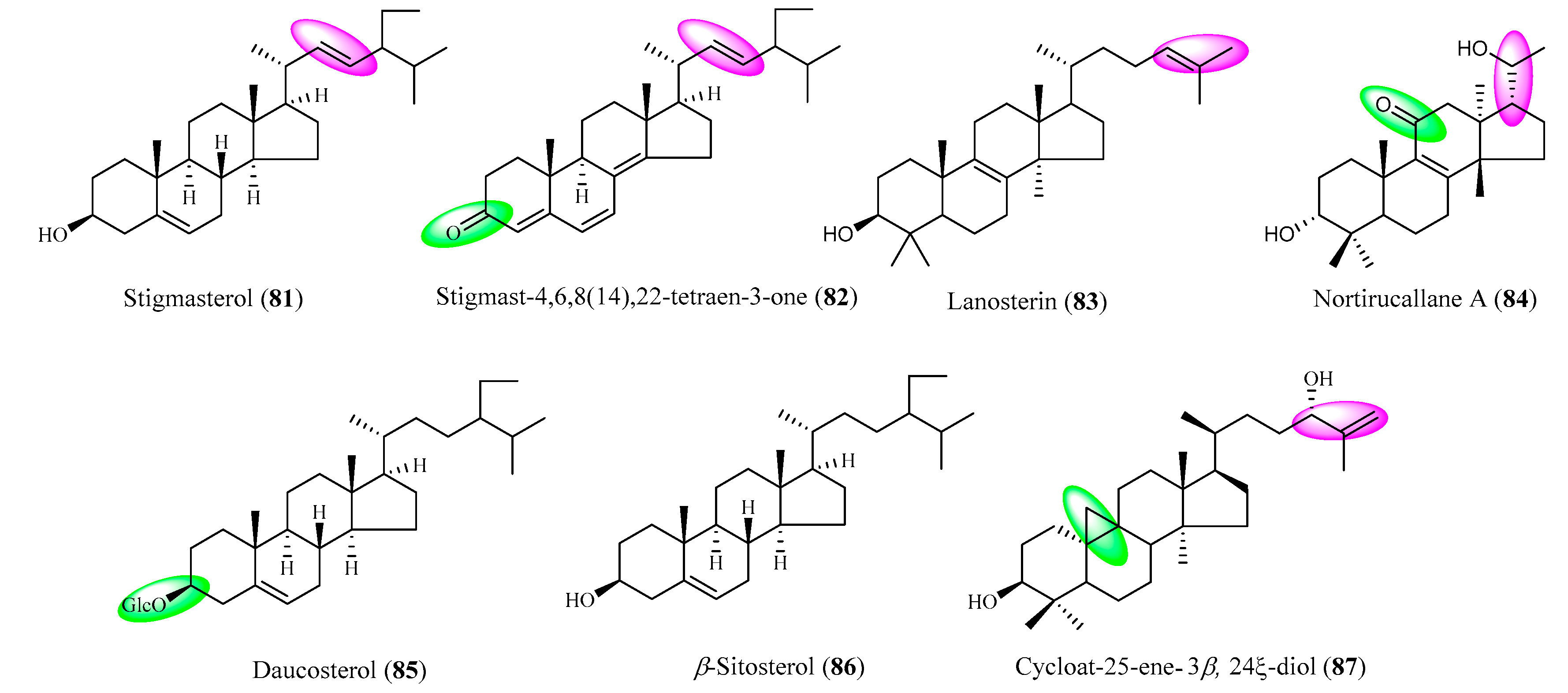 Molecules 25 03773 g002