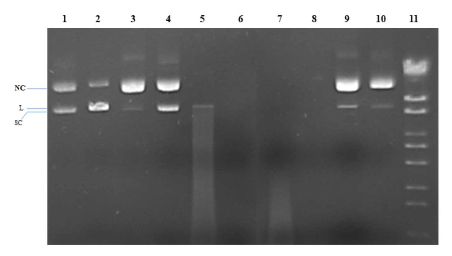 Molecules 25 03777 g006 Molecules 25 03777 g006