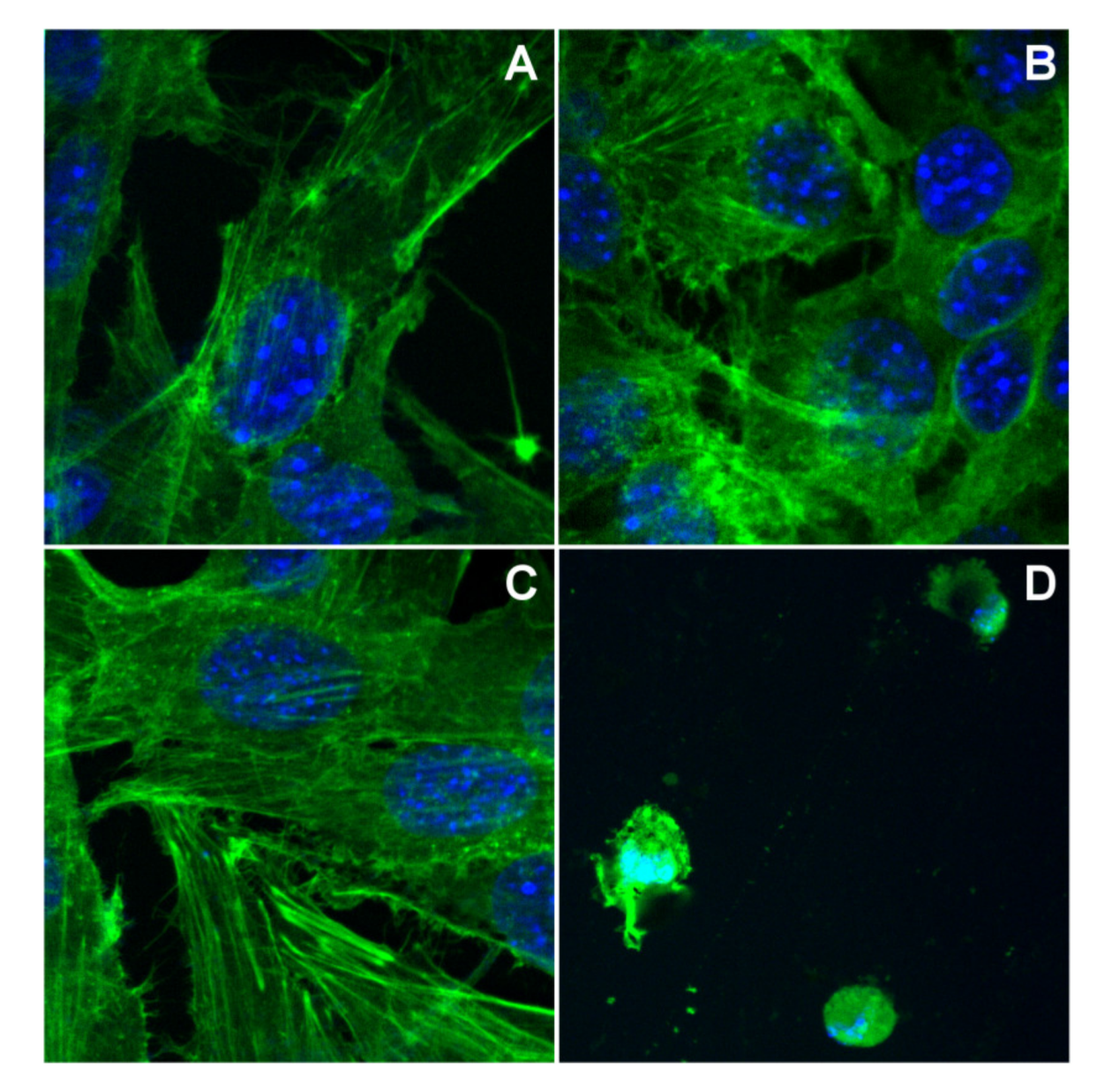 Molecules 25 03777 g008 Molecules 25 03777 g008