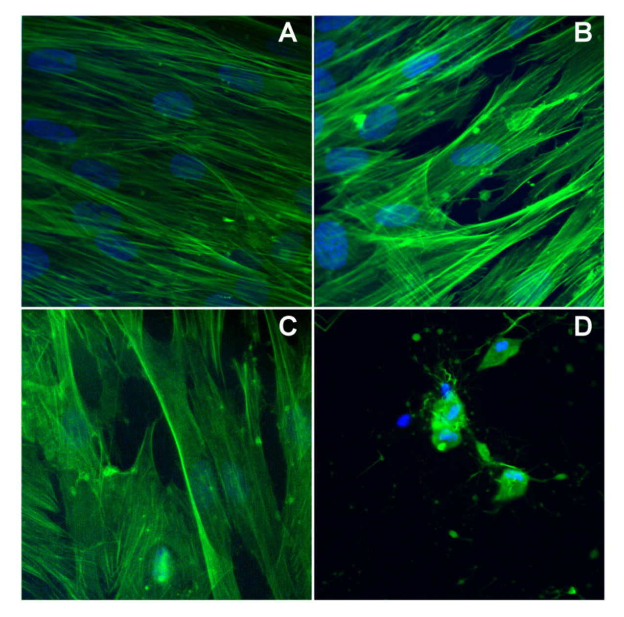 Molecules 25 03777 g009 Molecules 25 03777 g009