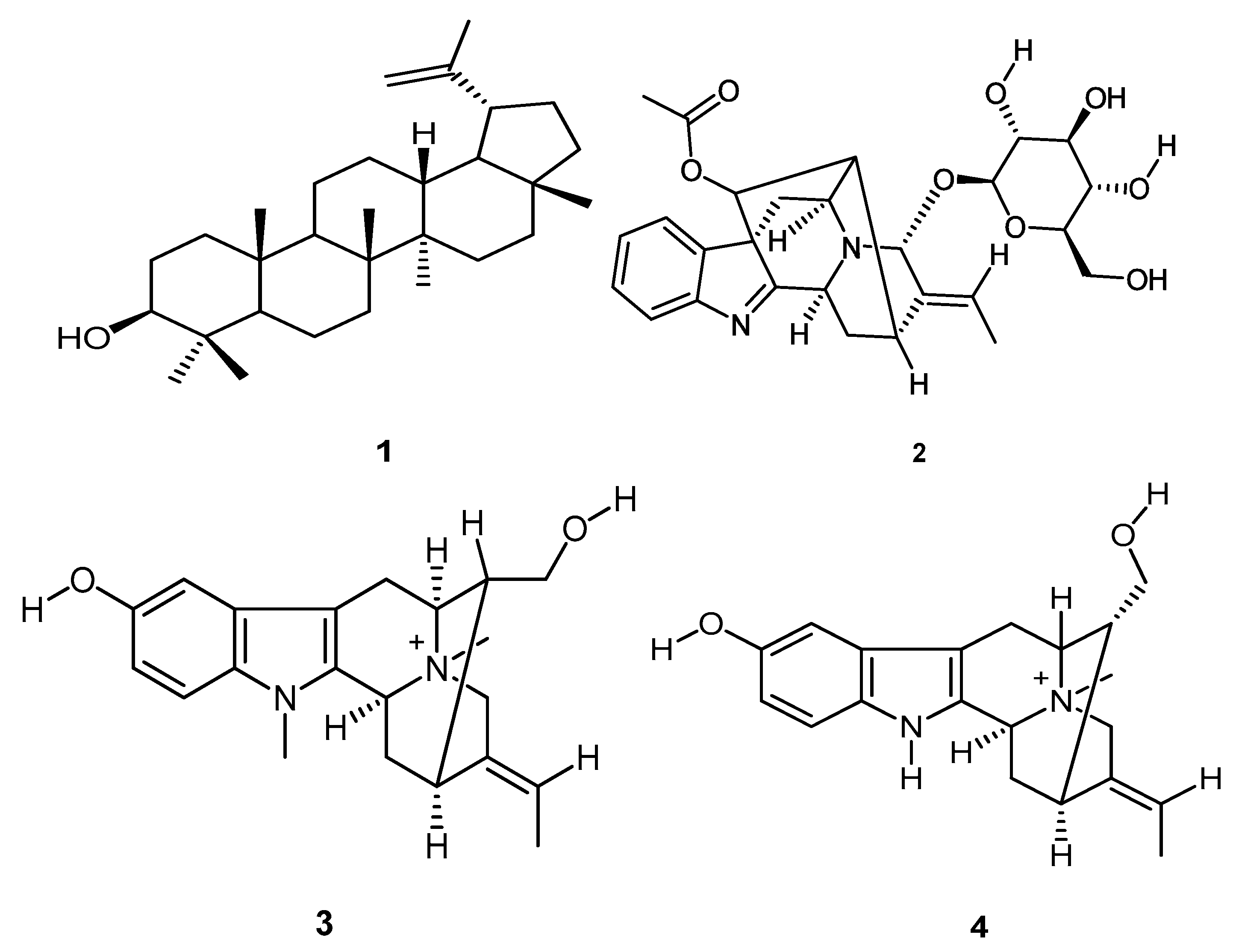 Molecules 25 03781 g004