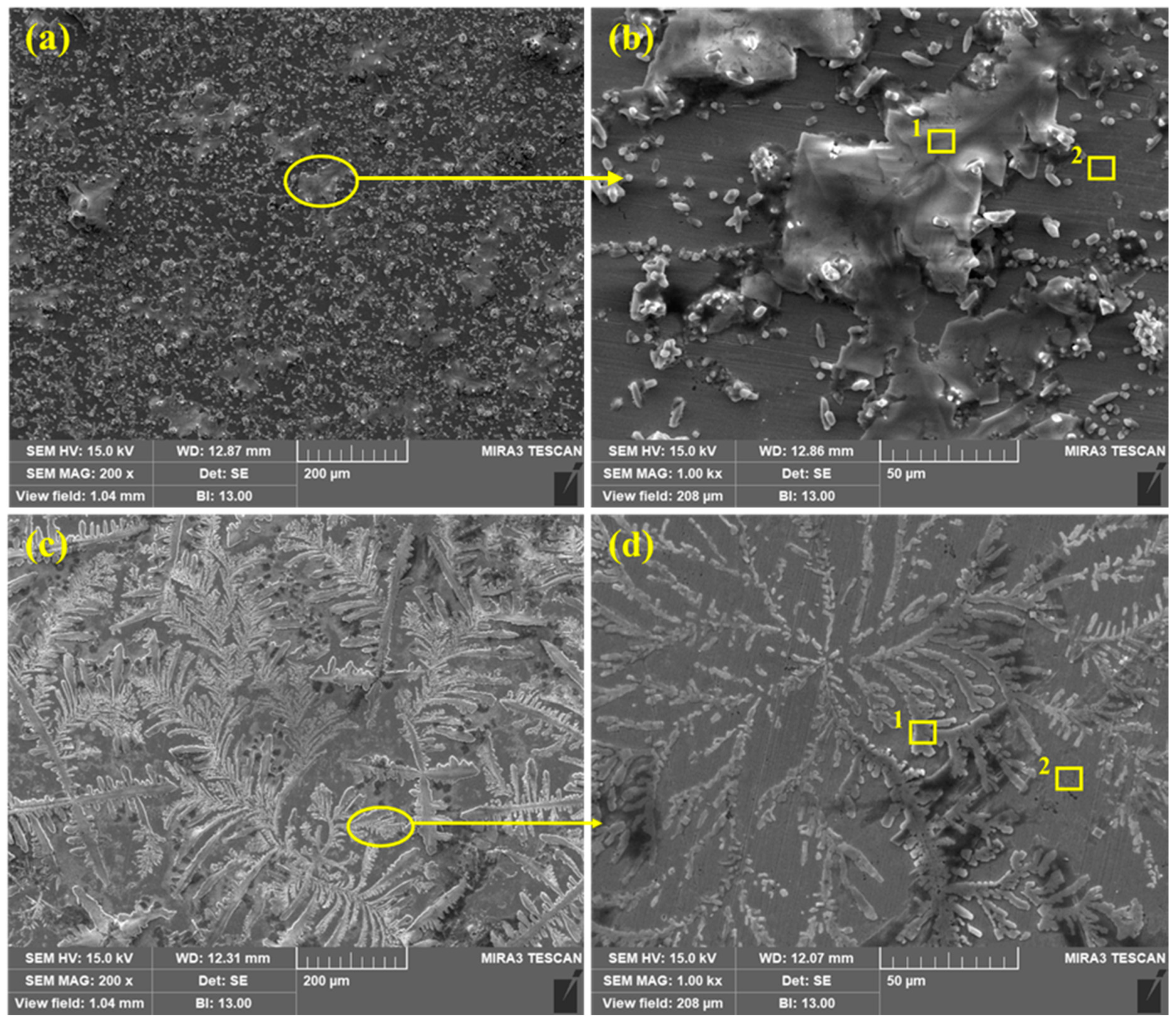 Molecules 25 03785 g008