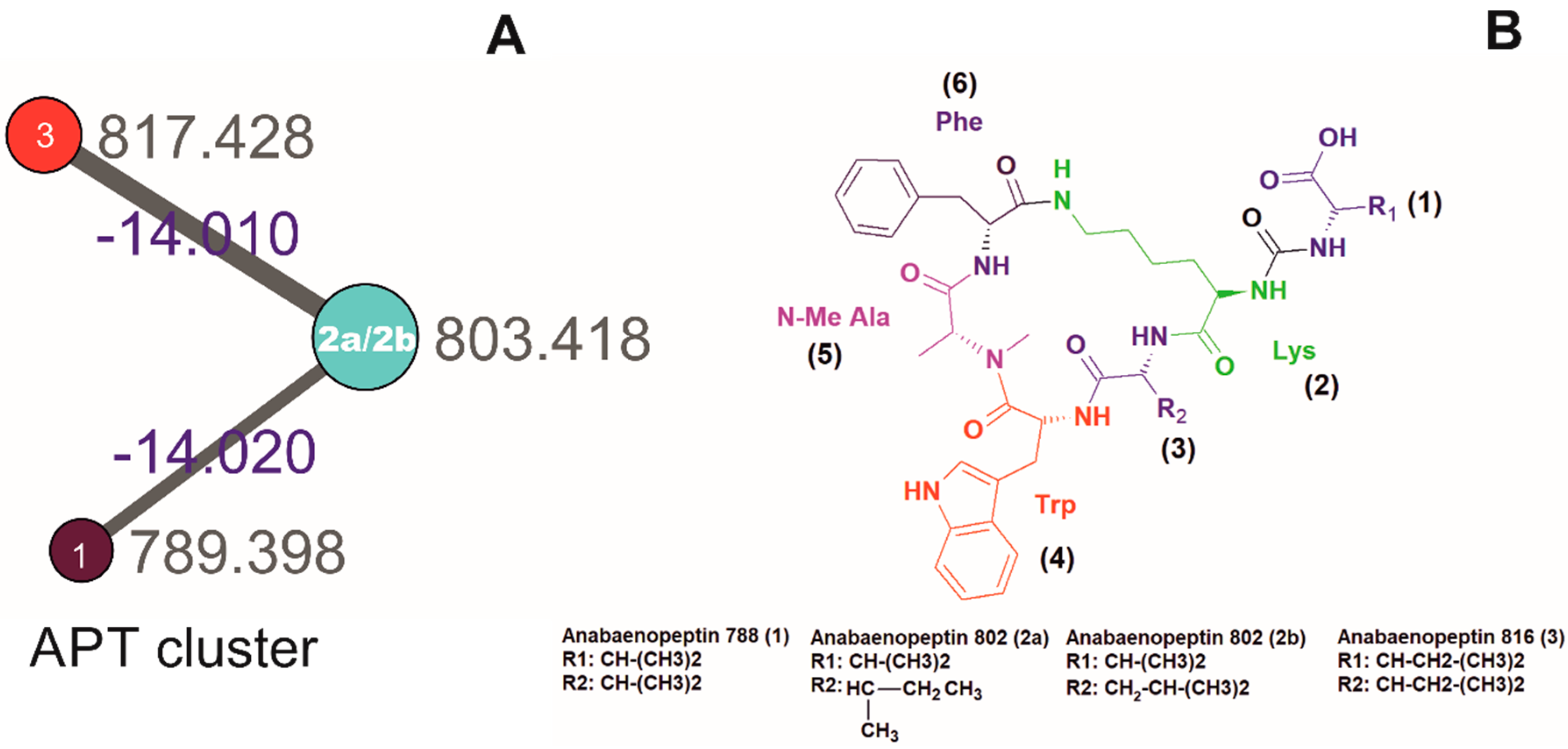 Molecules 25 03786 g001