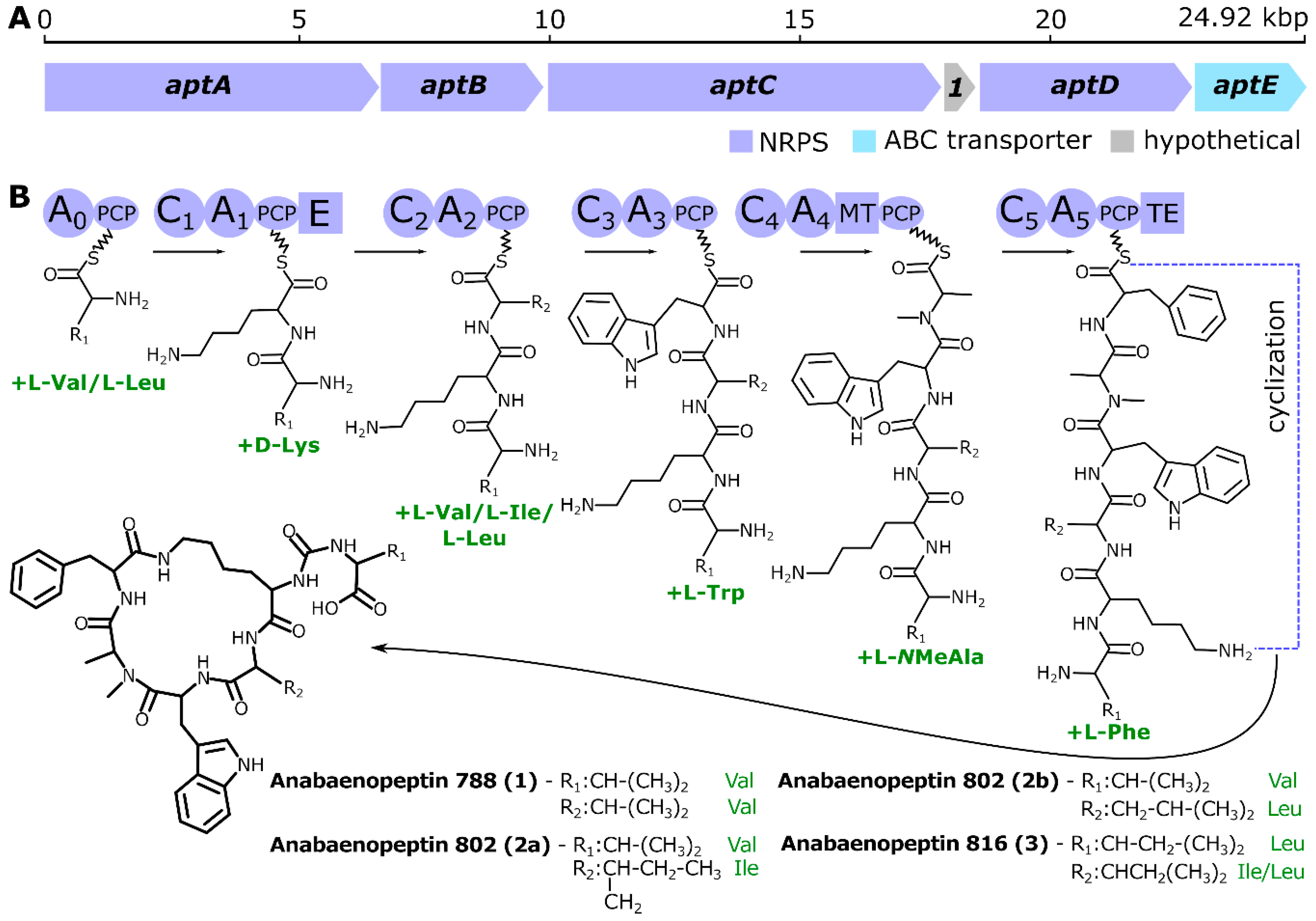 Molecules 25 03786 g002