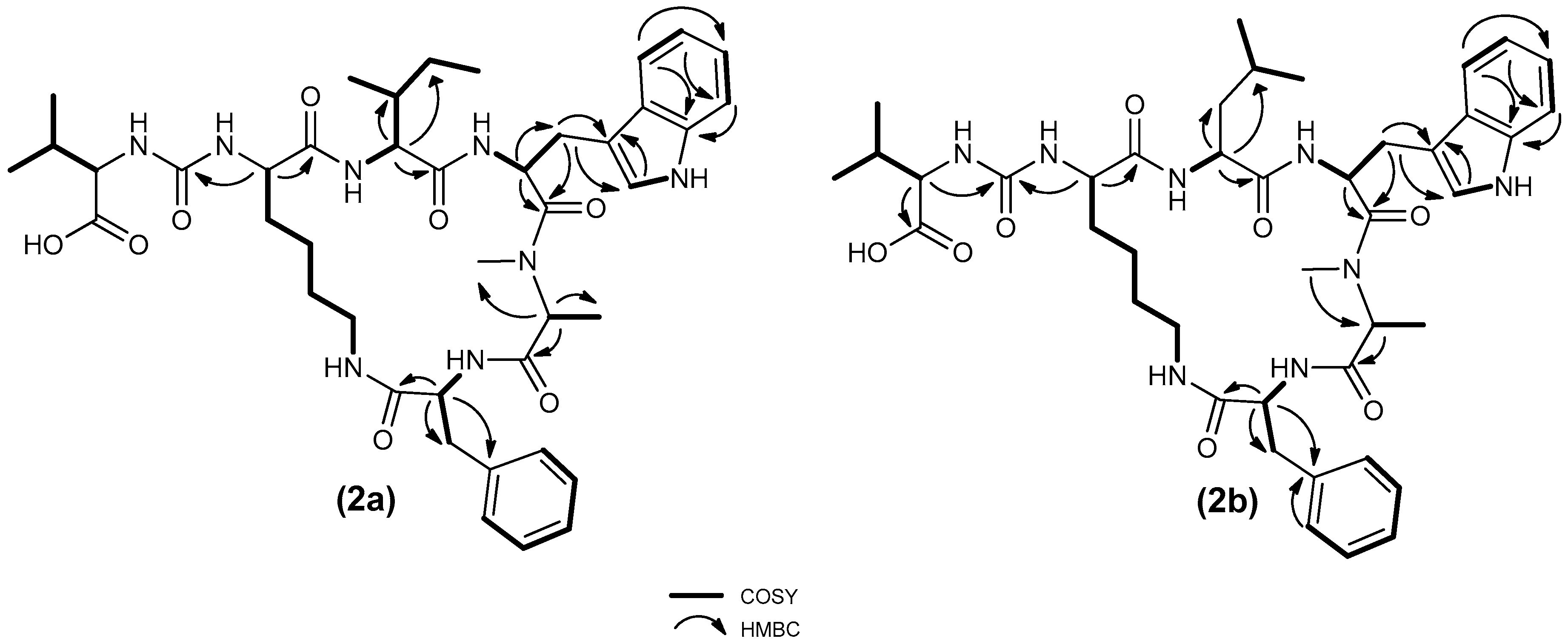 Molecules 25 03786 g004