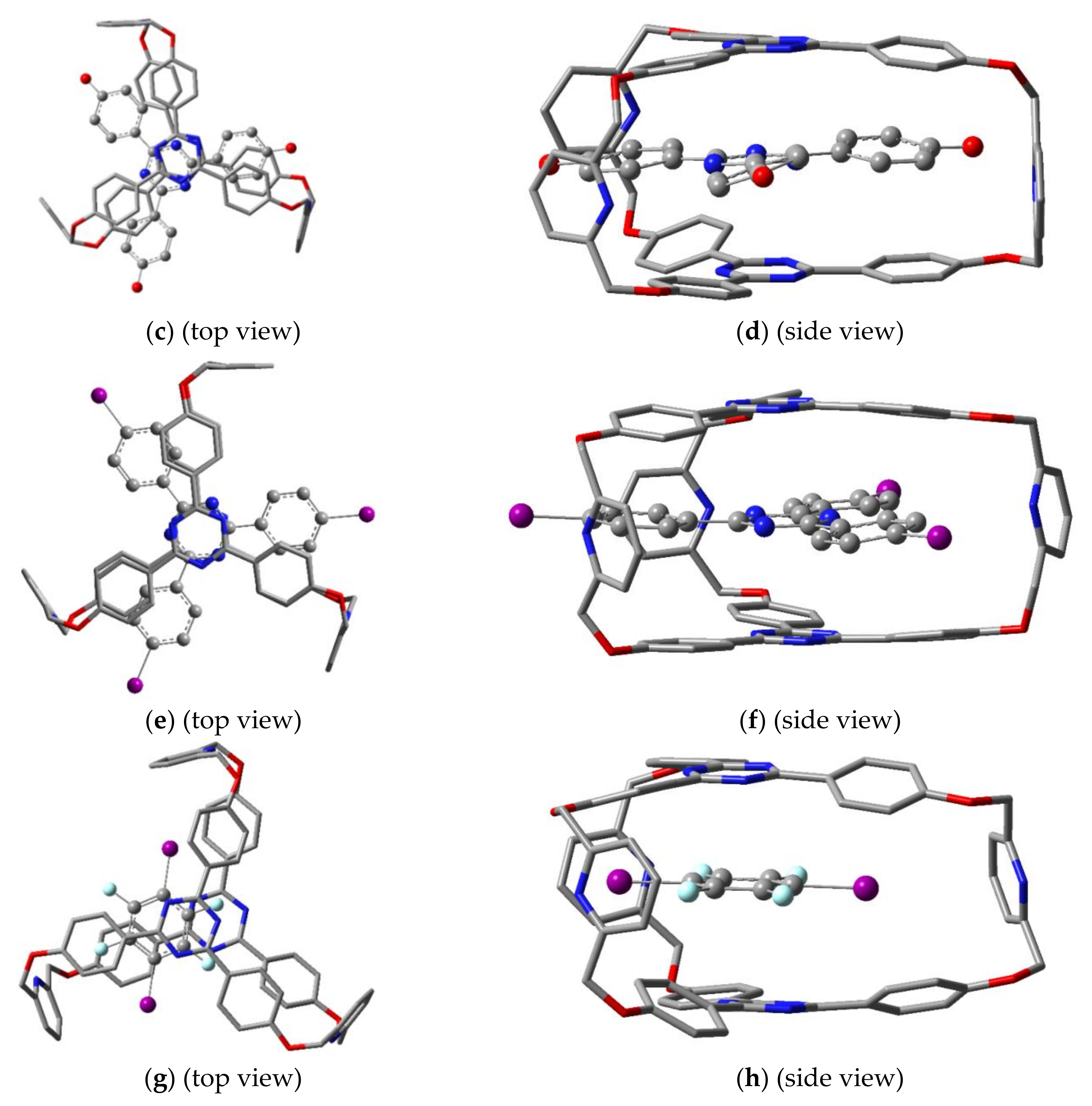 Molecules 25 03789 g011b Molecules 25 03789 g011b