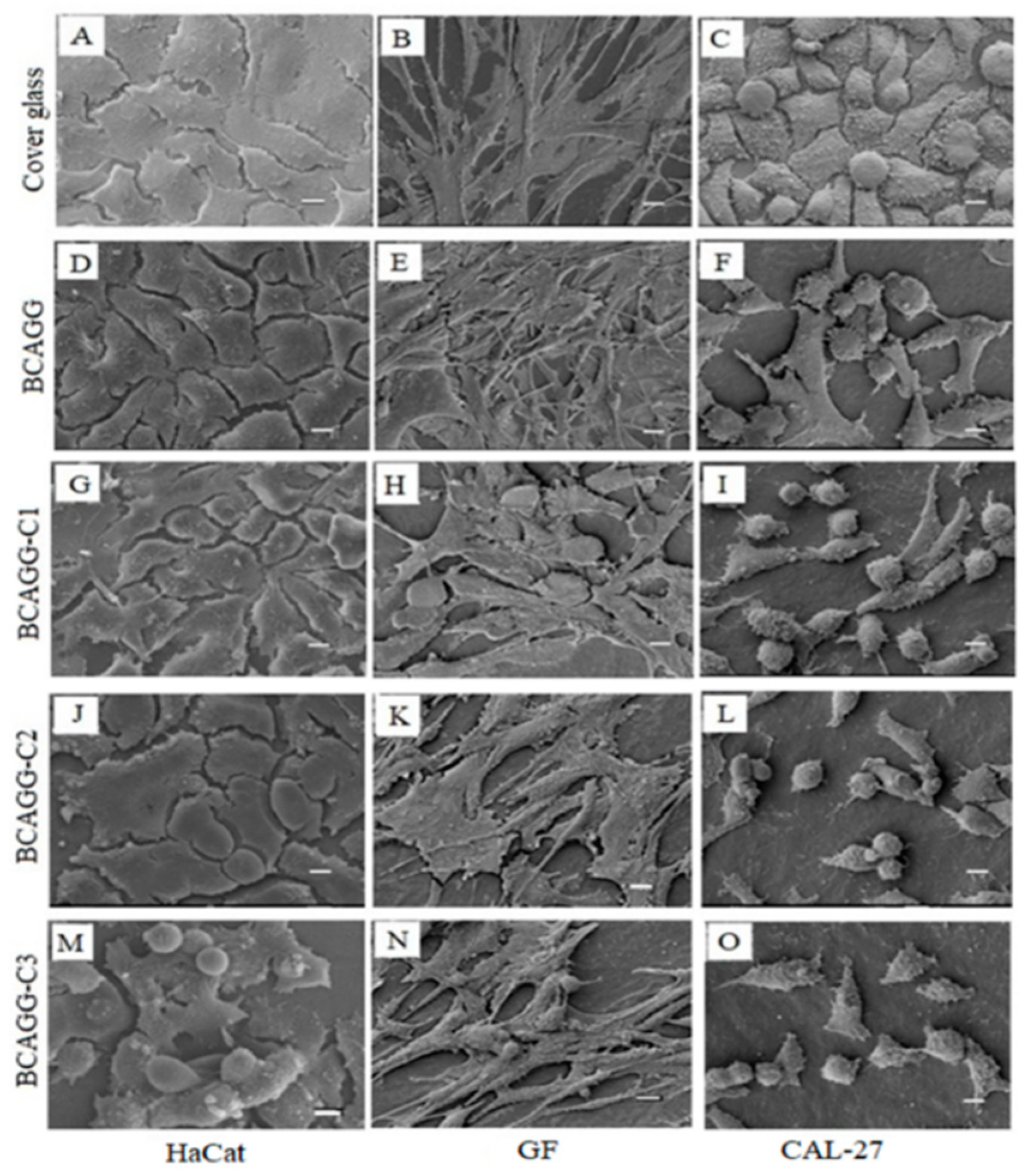 Molecules 25 03800 g007 Molecules 25 03800 g007