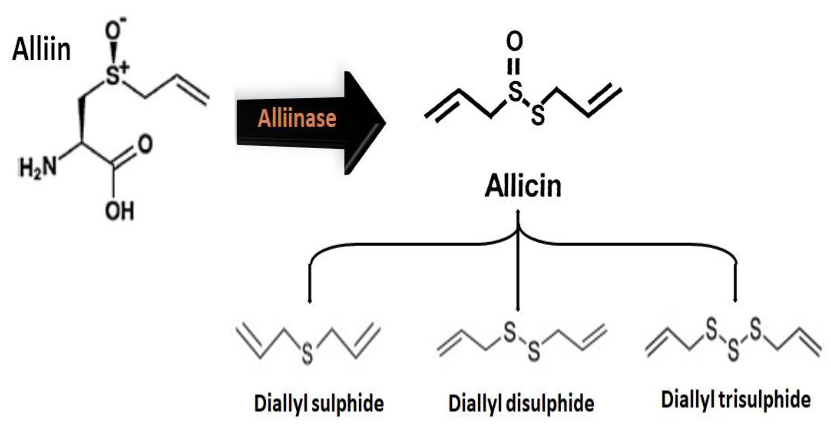 Molecules 25 03804 g003 Molecules 25 03804 g003